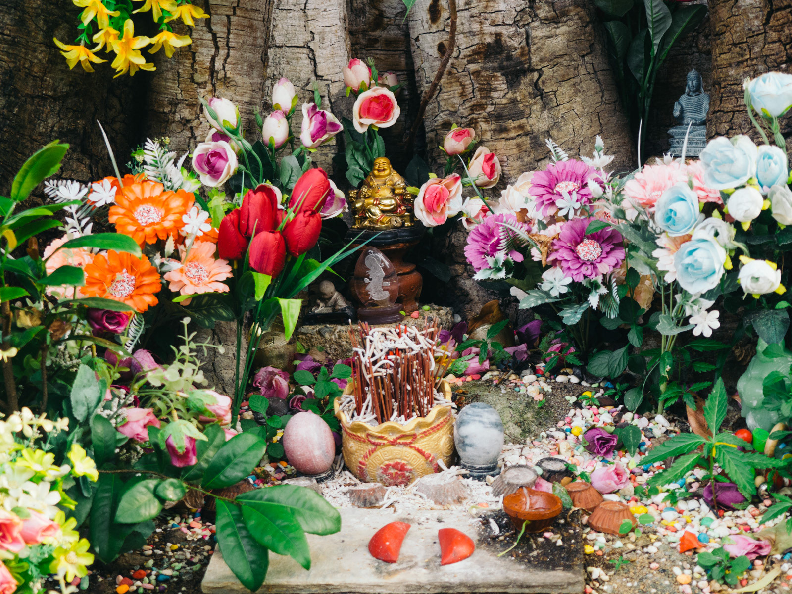 Under the Bodhi tree