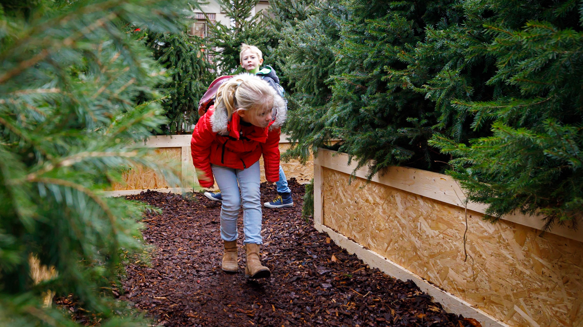 Het Kerstbomen Doolhof in Leidsche Rijn Centrum te Utrecht.