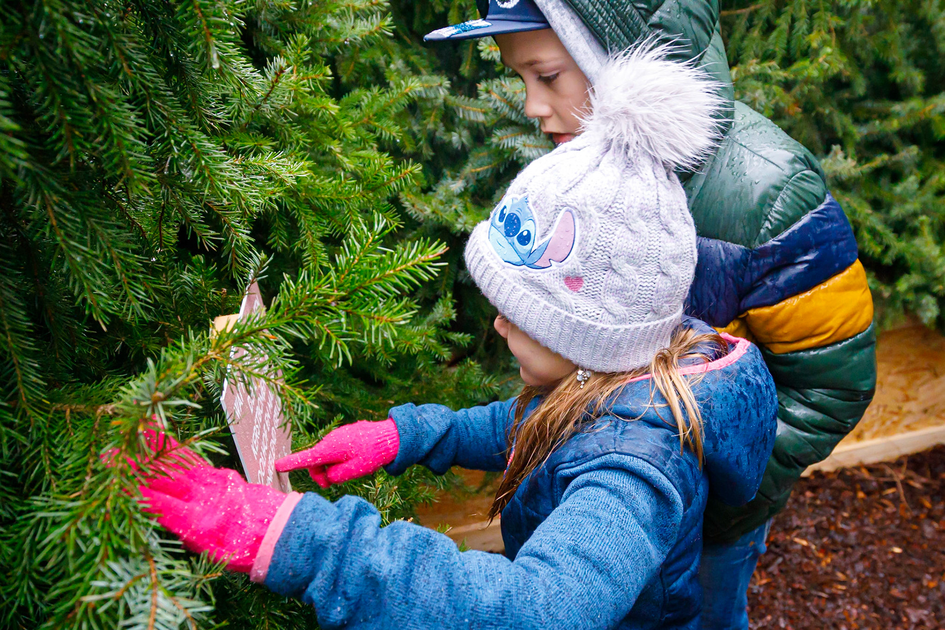 Het Kerstbomen Doolhof in Leidsche Rijn Centrum te Utrecht.