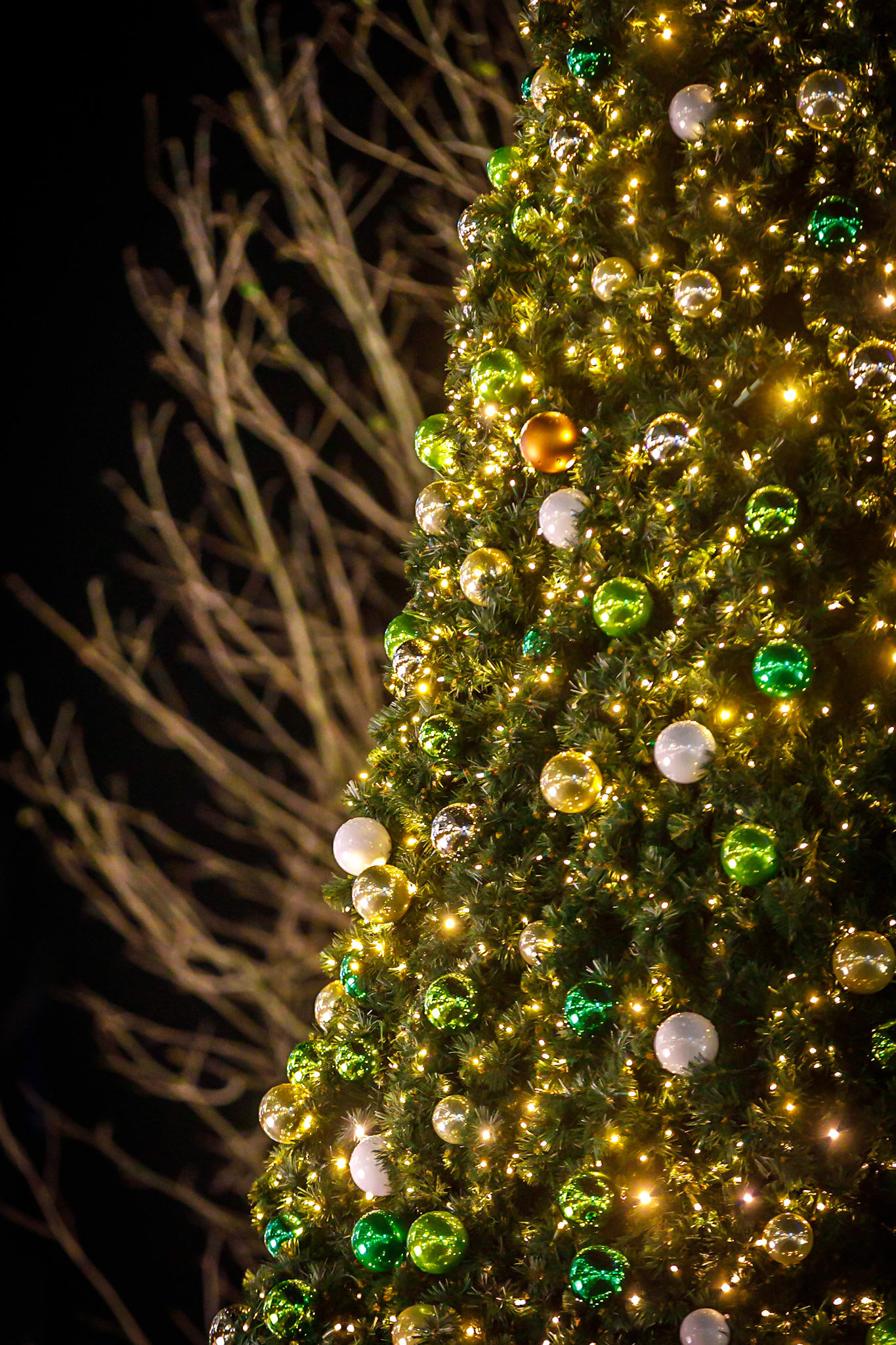 The Christmas Button in de Koopgoot Rotterdam.