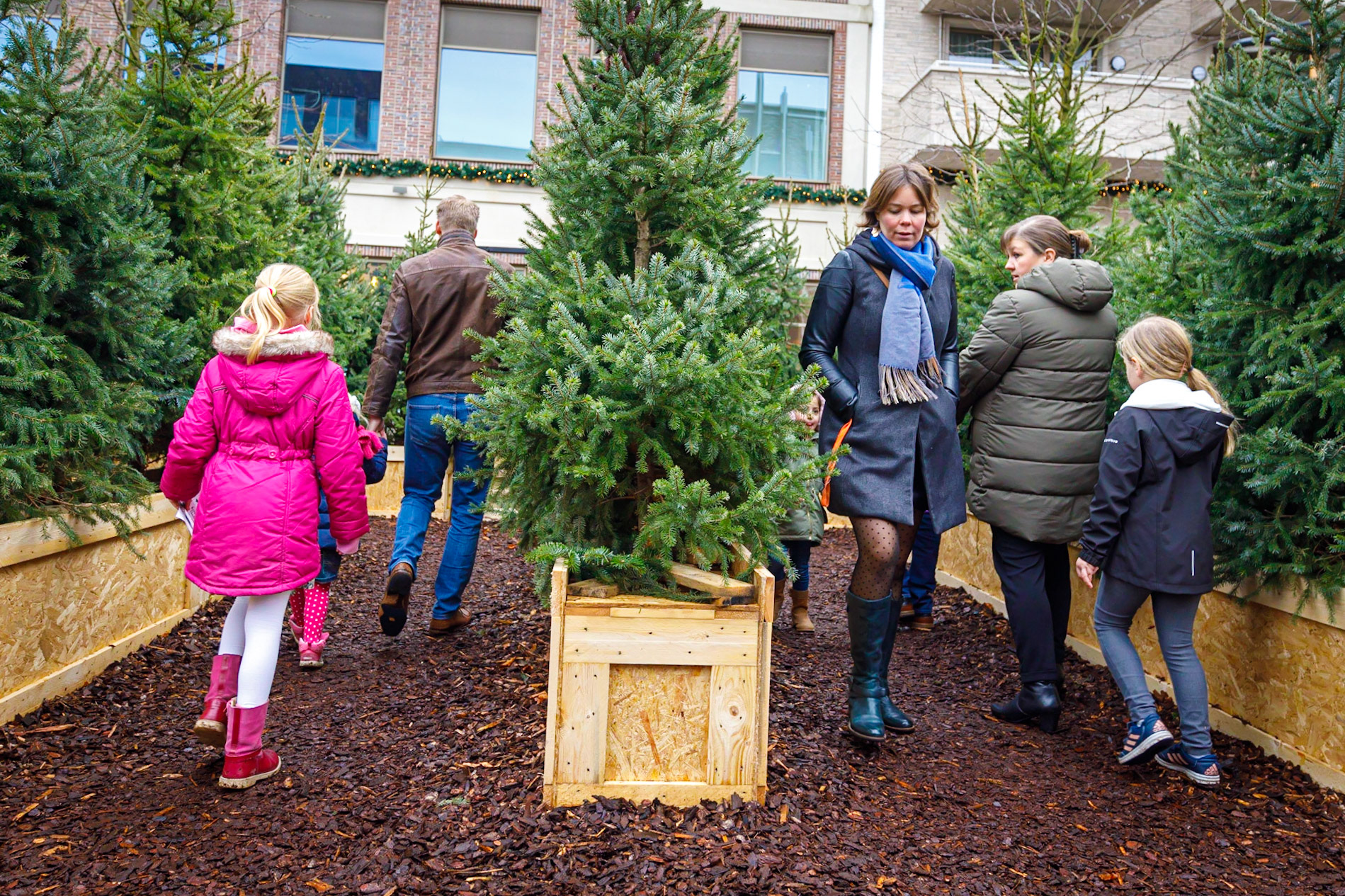 Het Kerstbomen Doolhof in Leidsche Rijn Centrum te Utrecht.