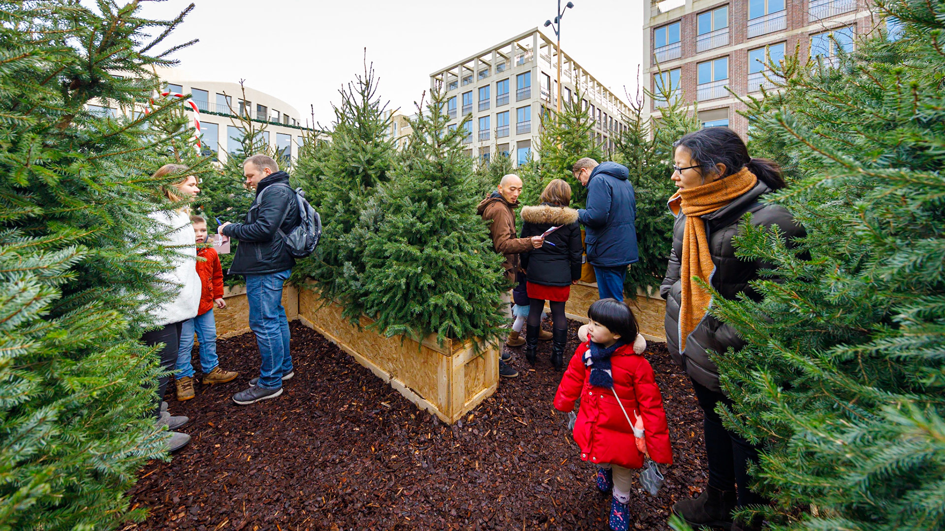 Het Kerstbomen Doolhof in Leidsche Rijn Centrum te Utrecht.