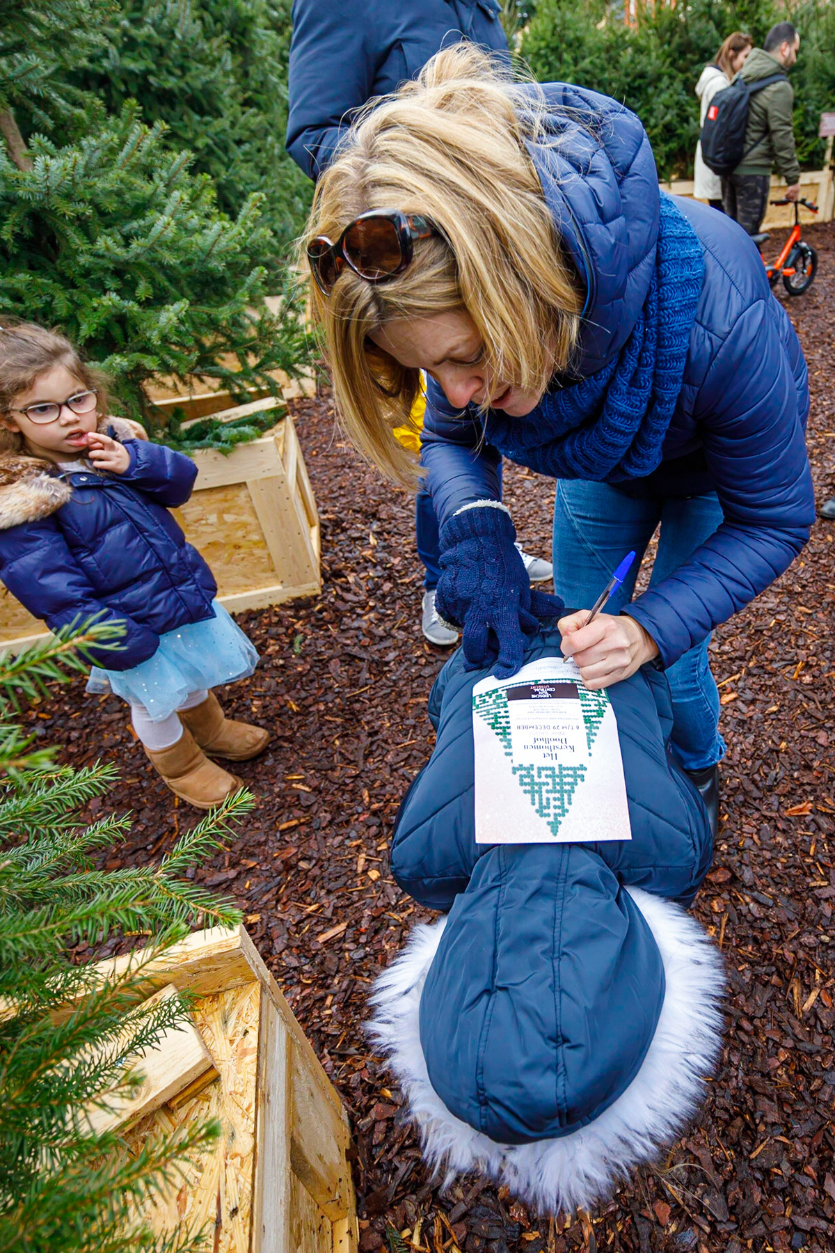 Het Kerstbomen Doolhof in Leidsche Rijn Centrum te Utrecht.