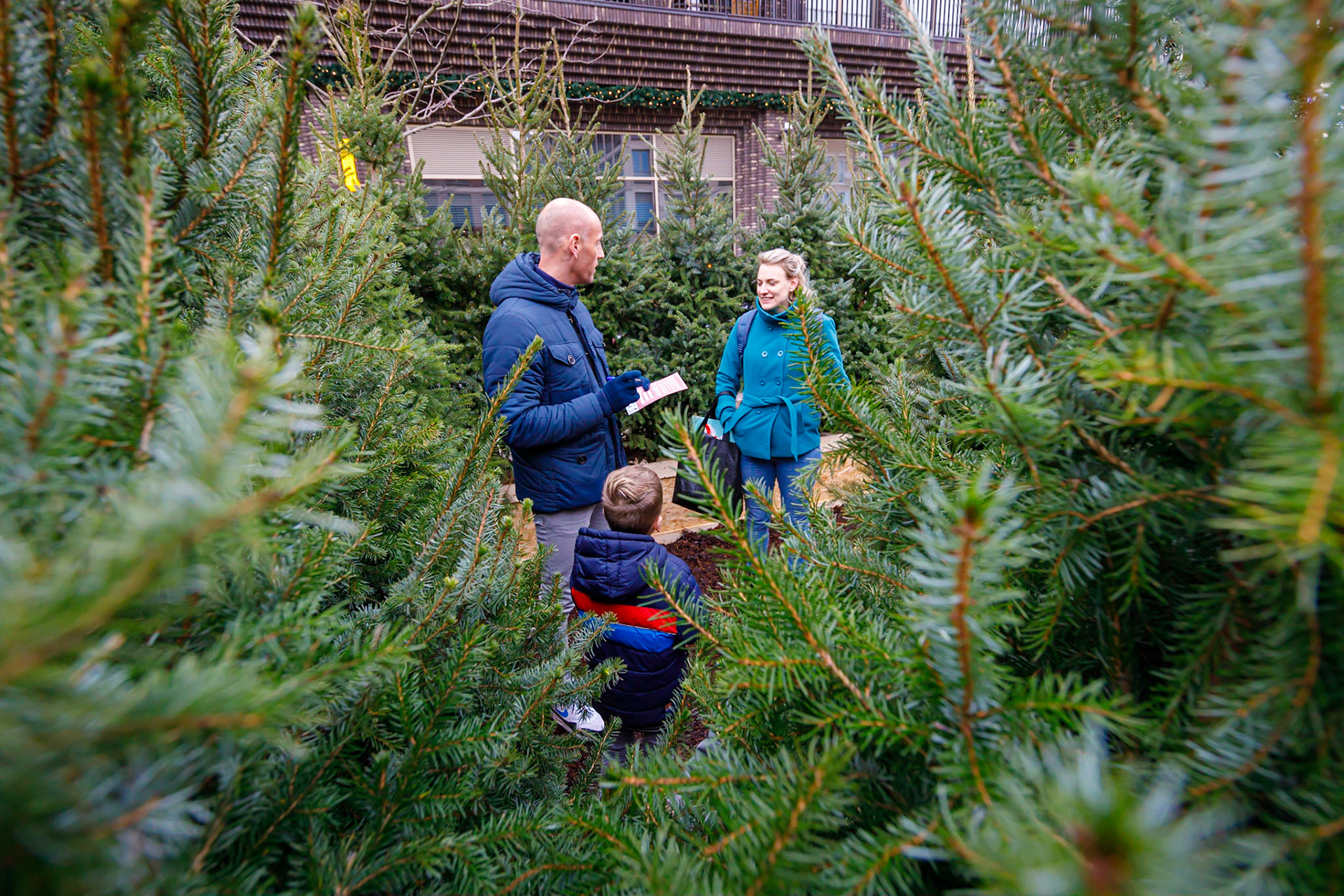 Het Kerstbomen Doolhof in Leidsche Rijn Centrum te Utrecht.
