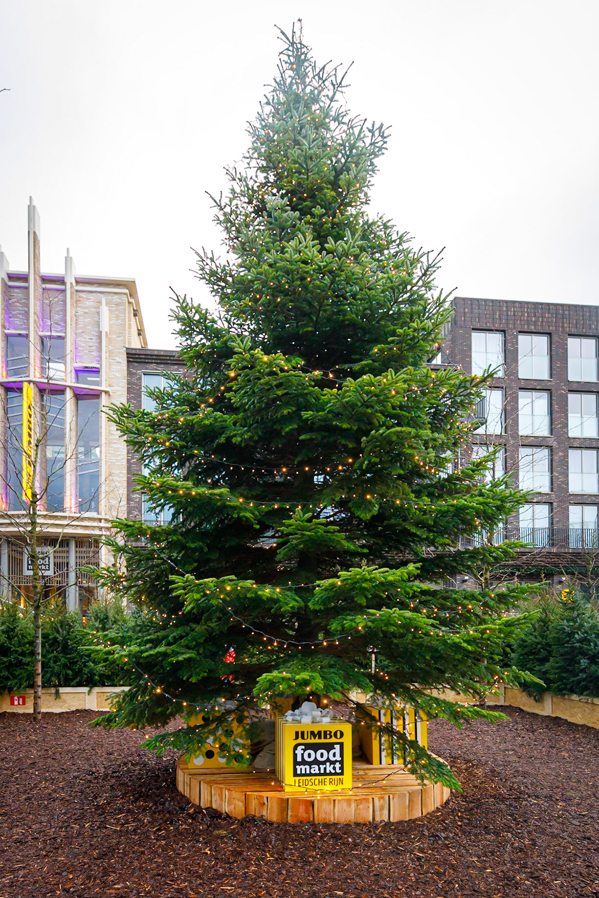 Het Kerstbomen Doolhof in Leidsche Rijn Centrum te Utrecht.