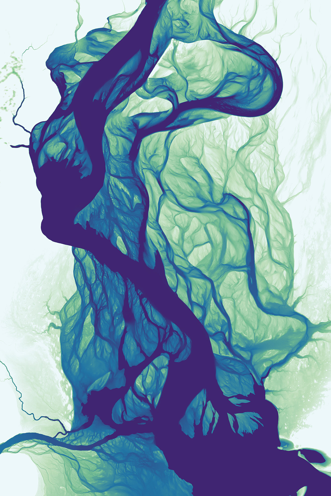 183 Alsek River Delta Courses 14400 x 21600 pixels