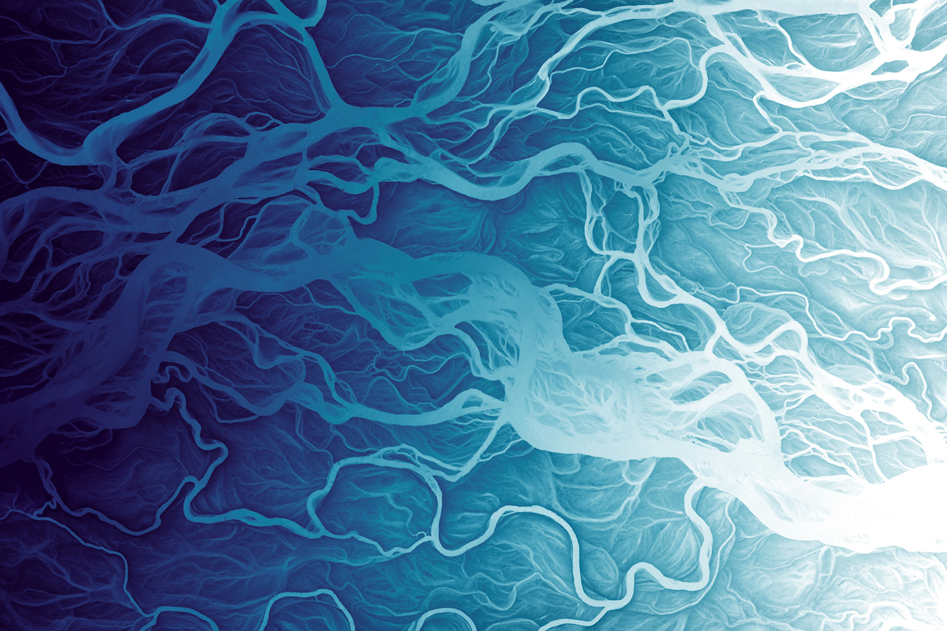 050 Susitna River Channels 10800 x 7200 pixels