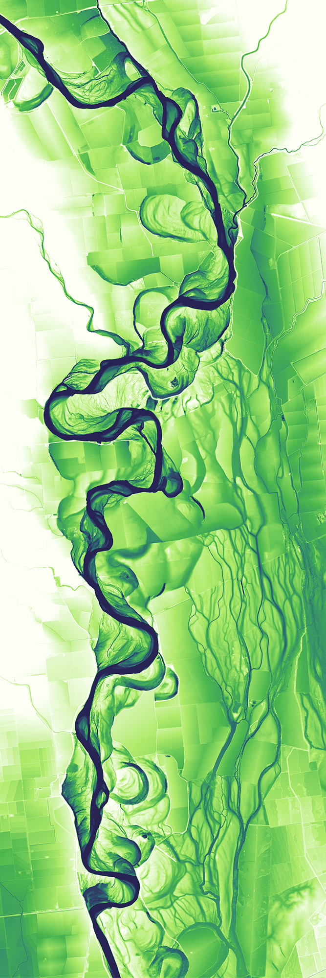 157 Sacramento River Viridescent 7200 x 21600 pixels