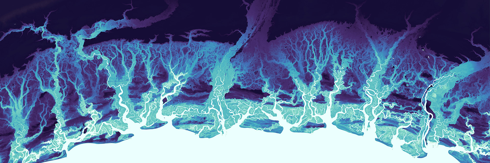 192 Georgia Coast, Georgia, USA, 24000 x 8000 pixels