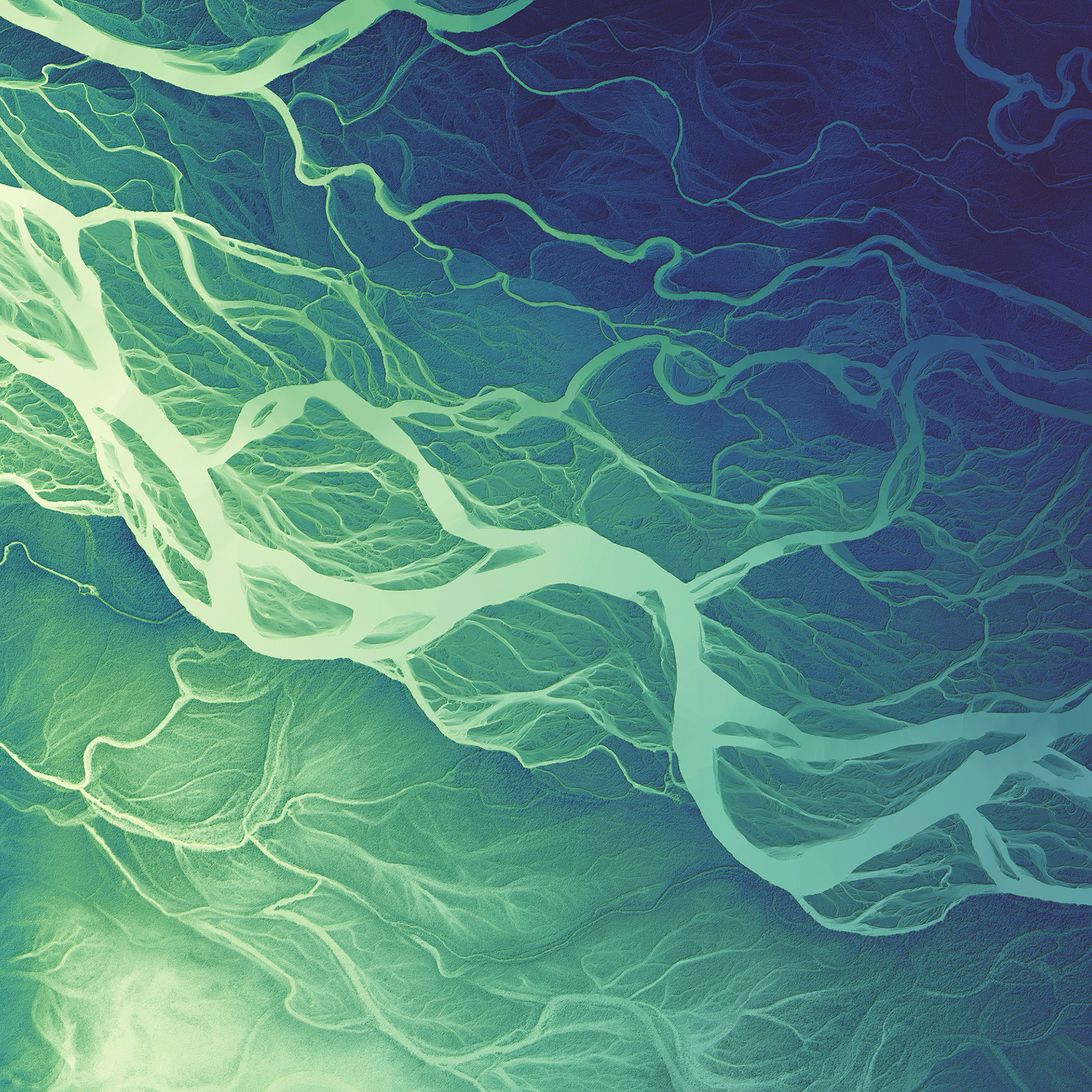 053 Tanana River Channels 9000 x 9000 pixels