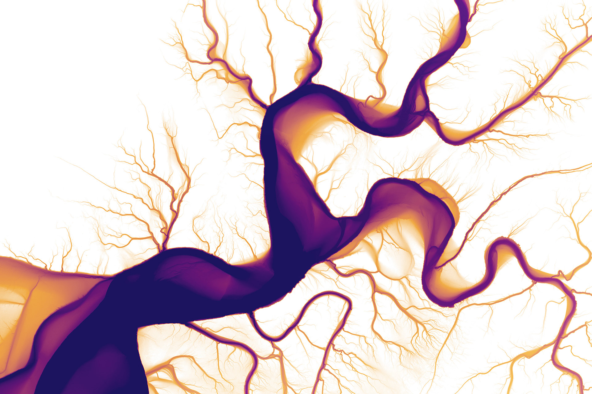 004 Colorado River Delta Waters 10800 x 7200 pixels