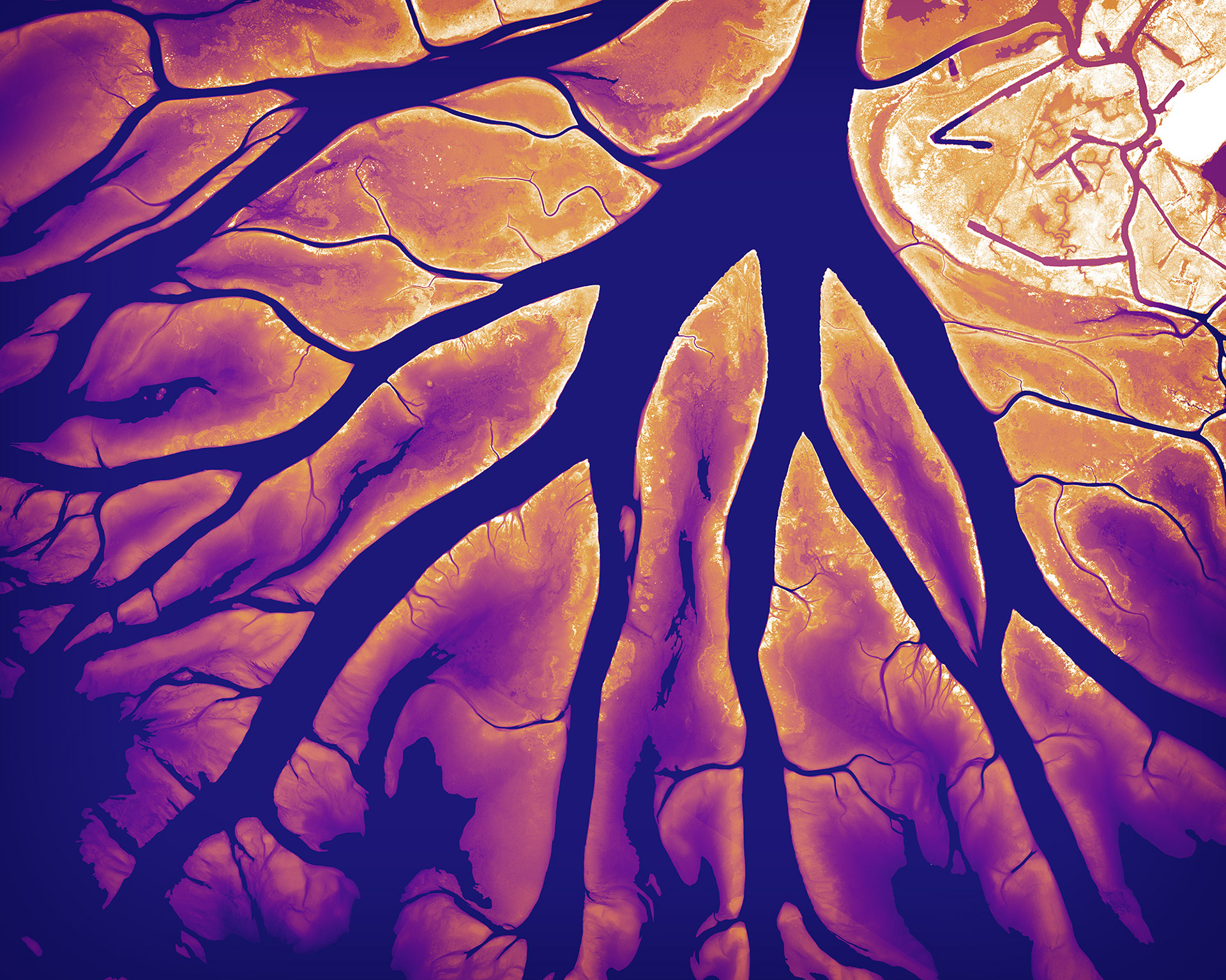 055 Wax Lake Delta 7500 x 6000 pixels