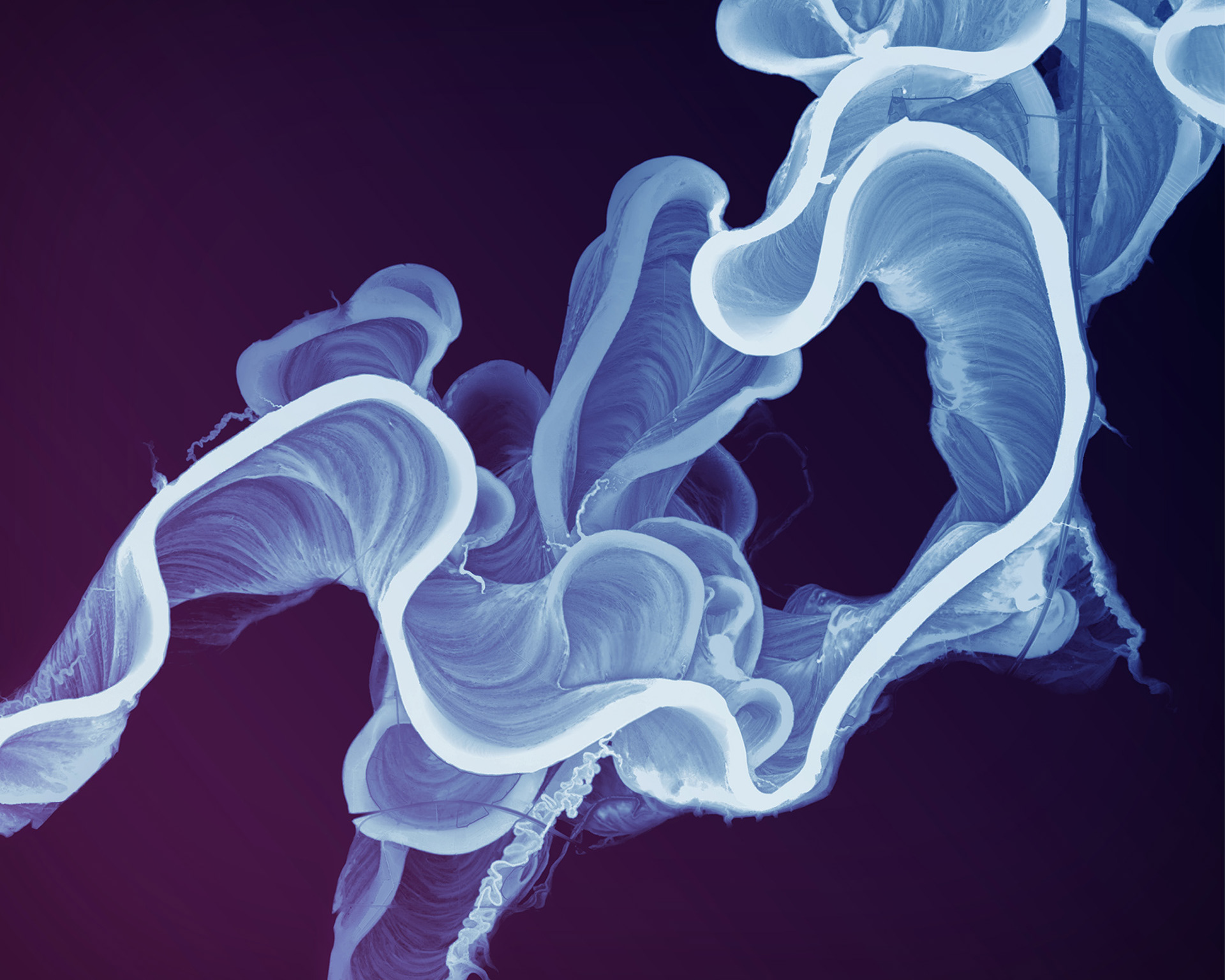 027 Ivalo River Meanders 9000 x 7200 pixels