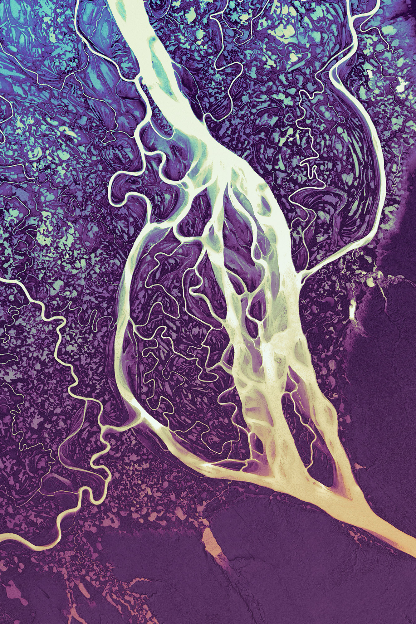 113 Mackenzie River Delta 12000 18000 pixels