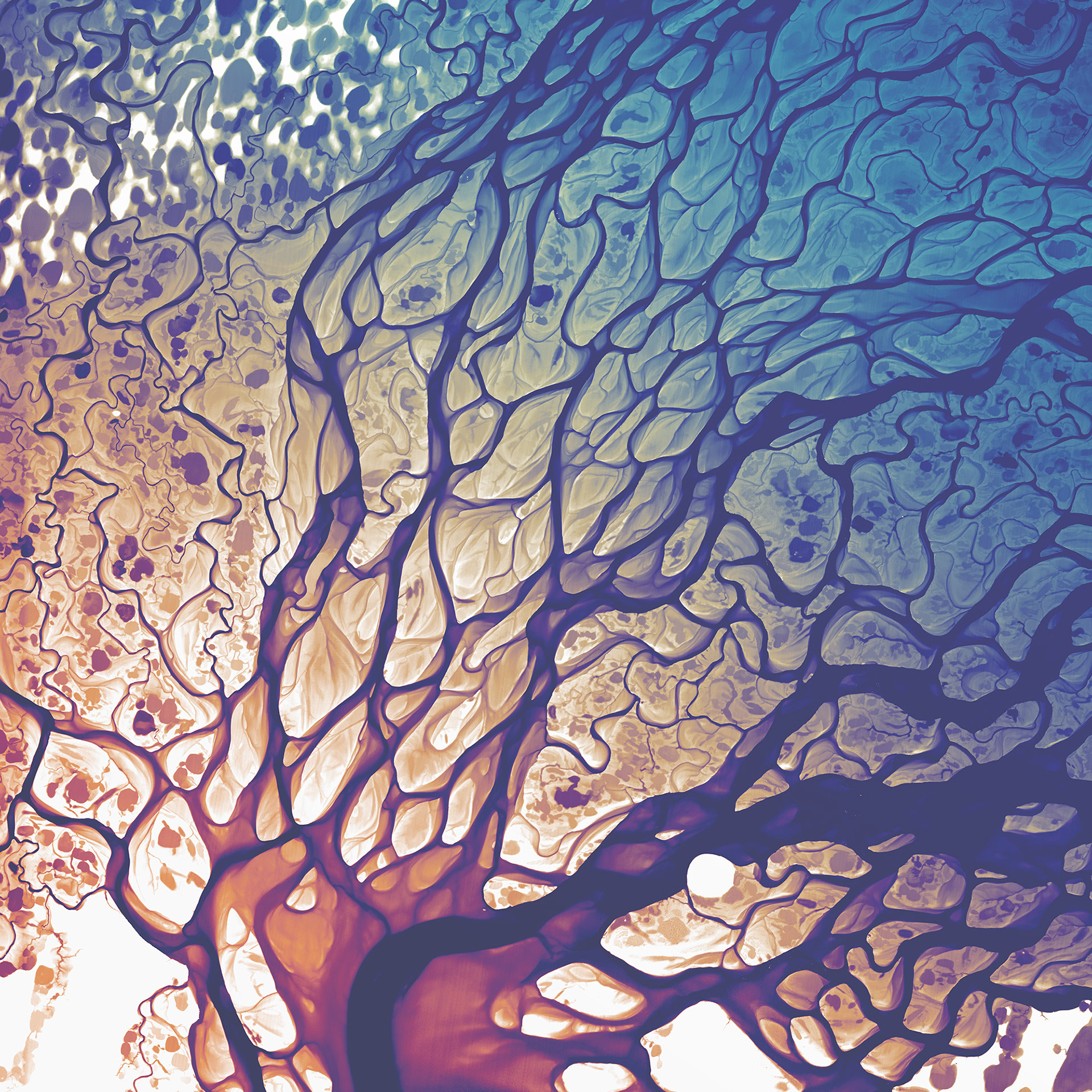 056 Lena River Delta Fade 10800 x 10800 pixels