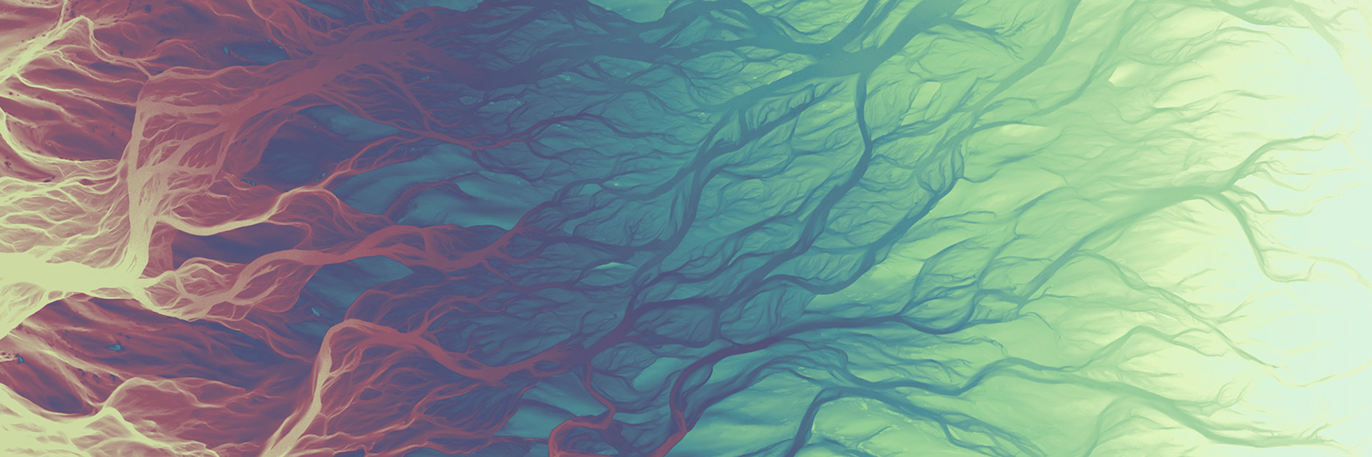 081 Knik River Channels 18000 x 6000 pixels