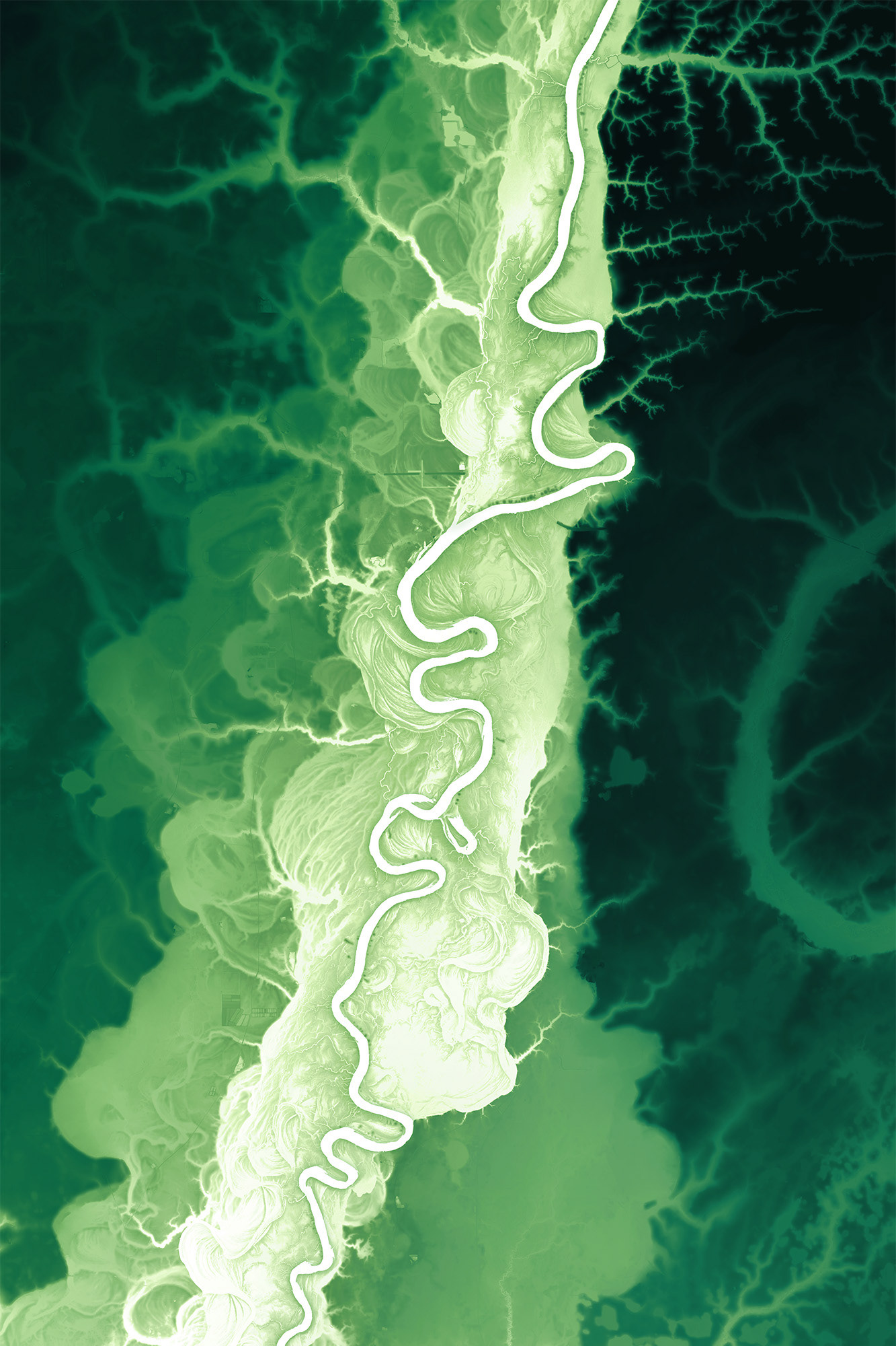 114 Apalachicola River Ghosts 12000 x 18000 pixels