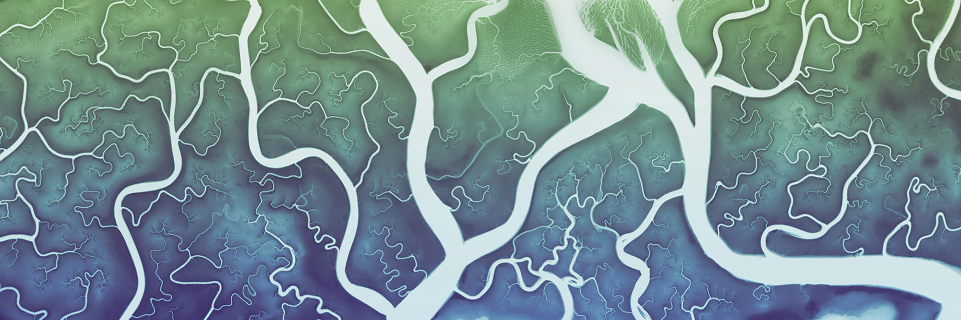 010 Virginia Tidelands 18000 x 6000 pixels