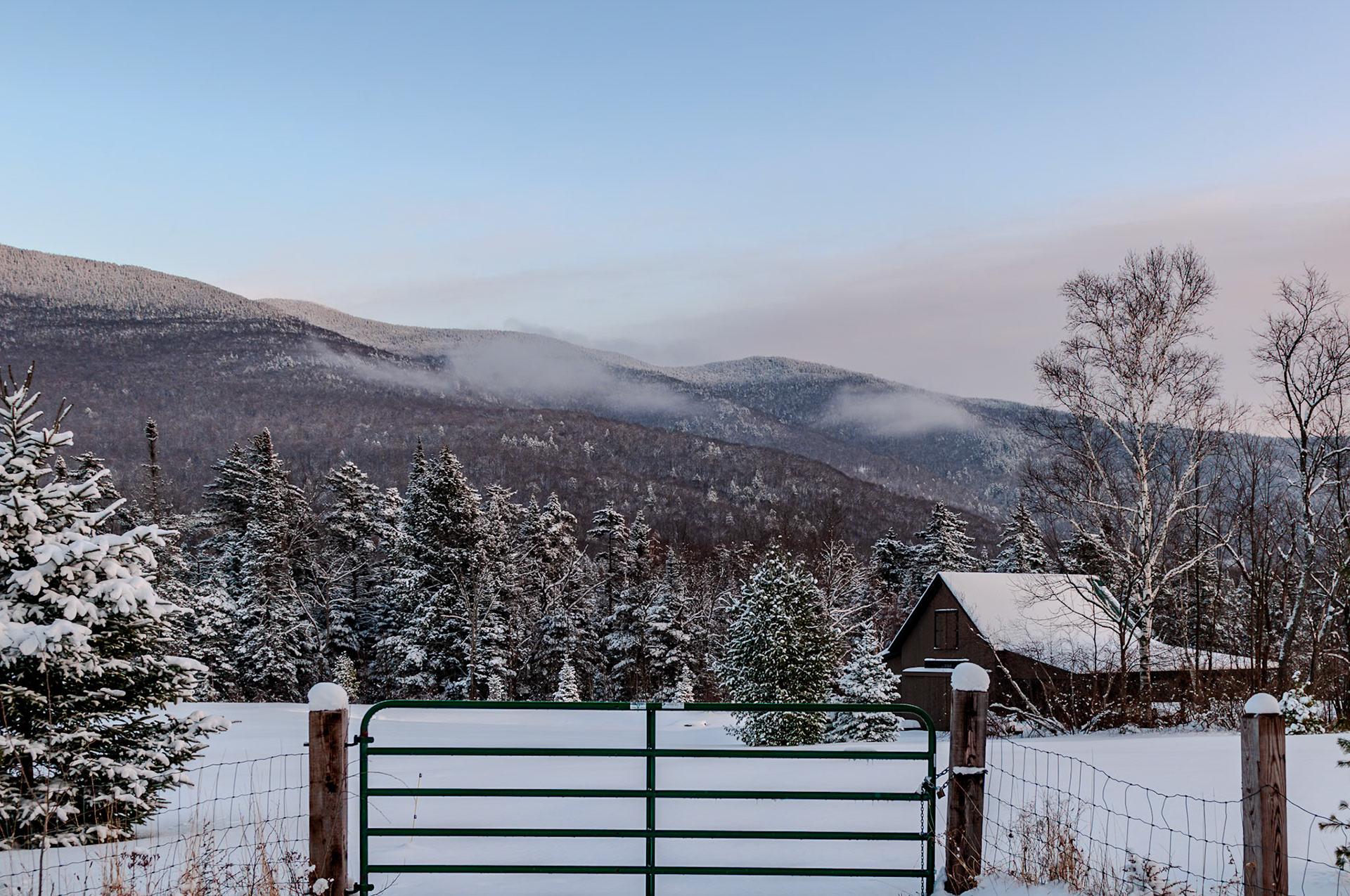 40 mm f/4.0 at 1/180 sec 0 EV 200 ISO ©Steven Mermelstein. All rights reserved. #20081220165352