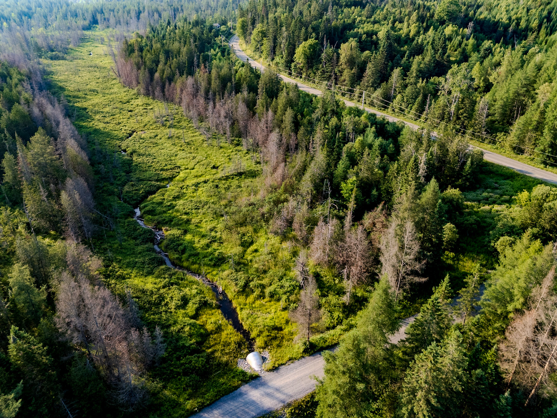 ©Steven Mermelstein. All rights reserved.