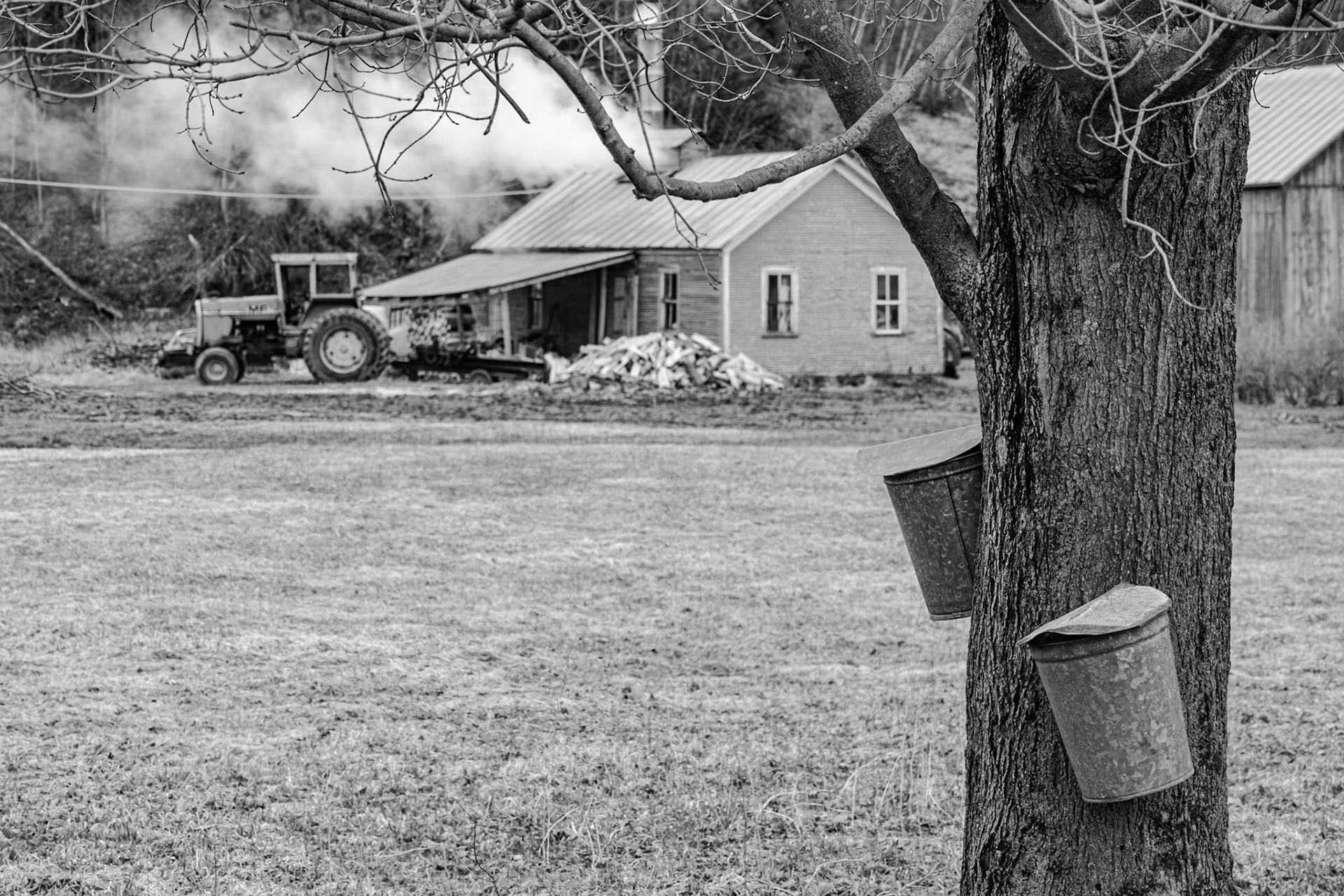 130 mm f/8.0 at 1/160 sec 0 EV 200 ISO ©Steven Mermelstein. All rights reserved. #20160402160108