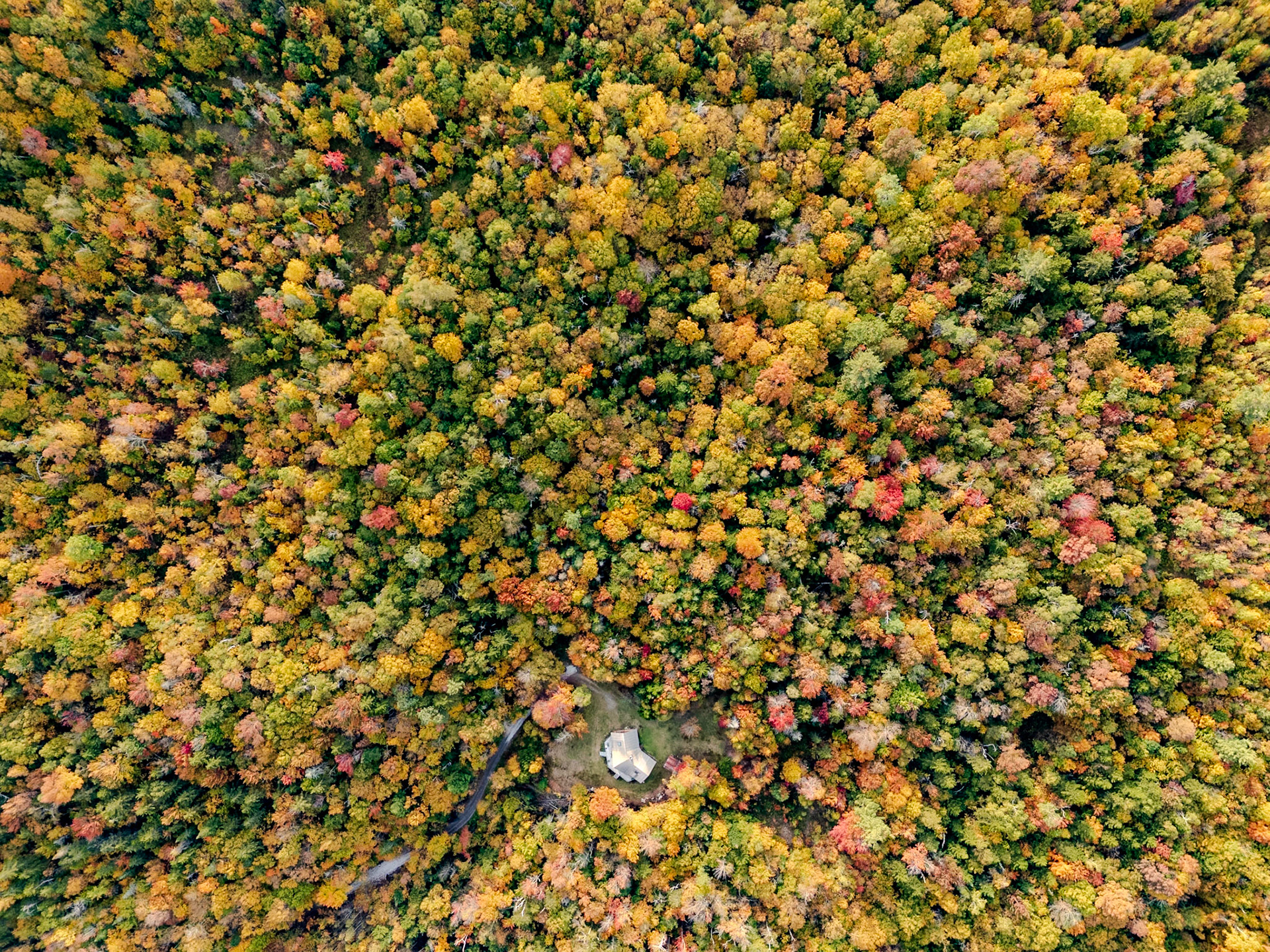 ©Steven Mermelstein. All rights reserved.