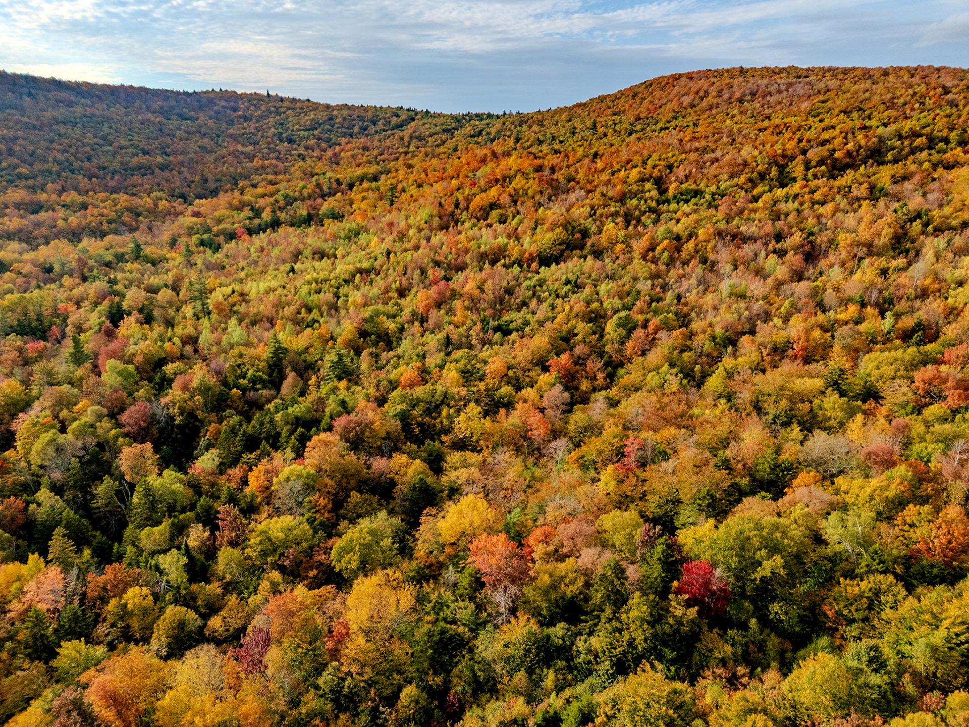 ©Steven Mermelstein. All rights reserved.