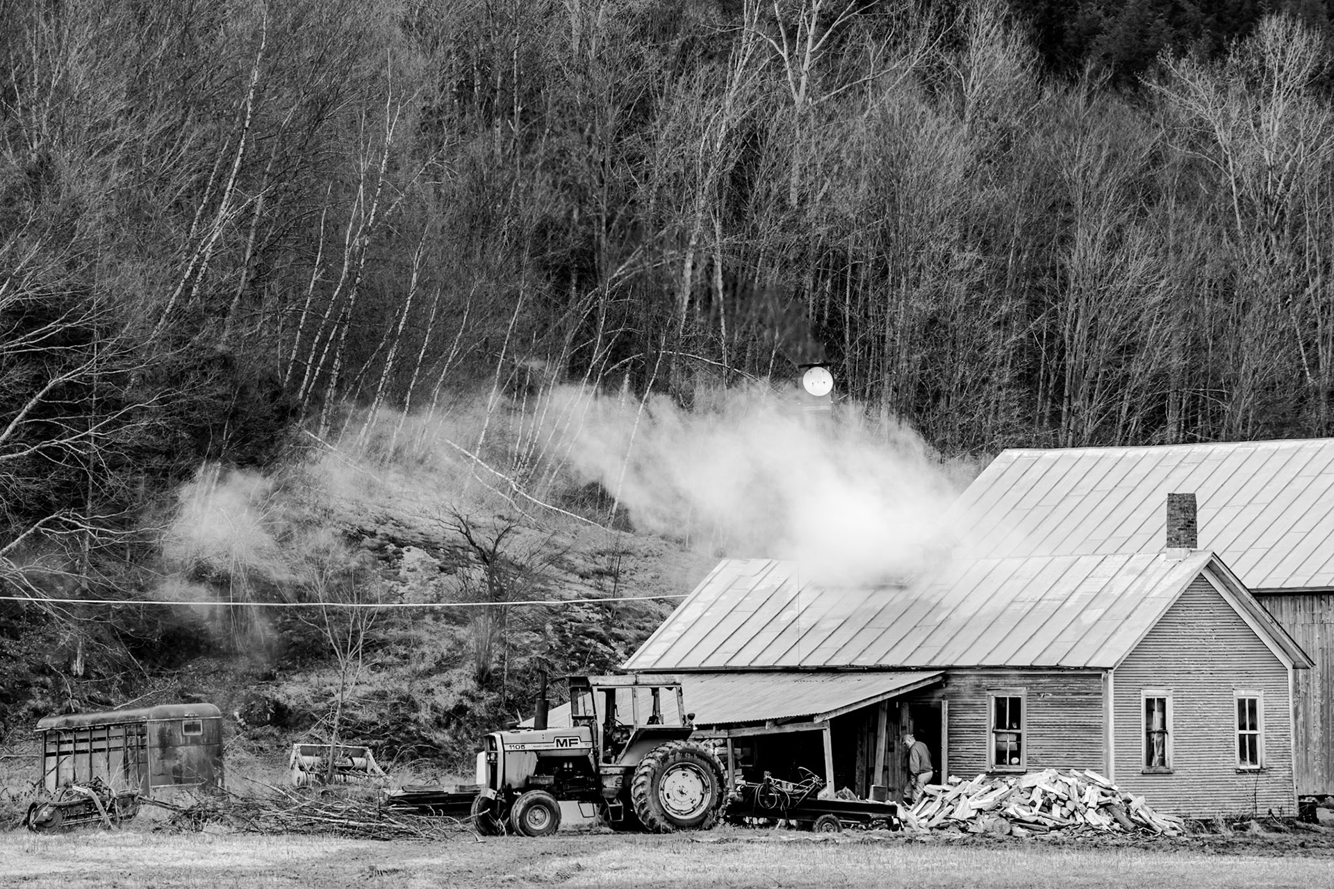231 mm f/8.0 at 1/160 sec 0 EV 400 ISO ©Steven Mermelstein. All rights reserved. #20160402155430