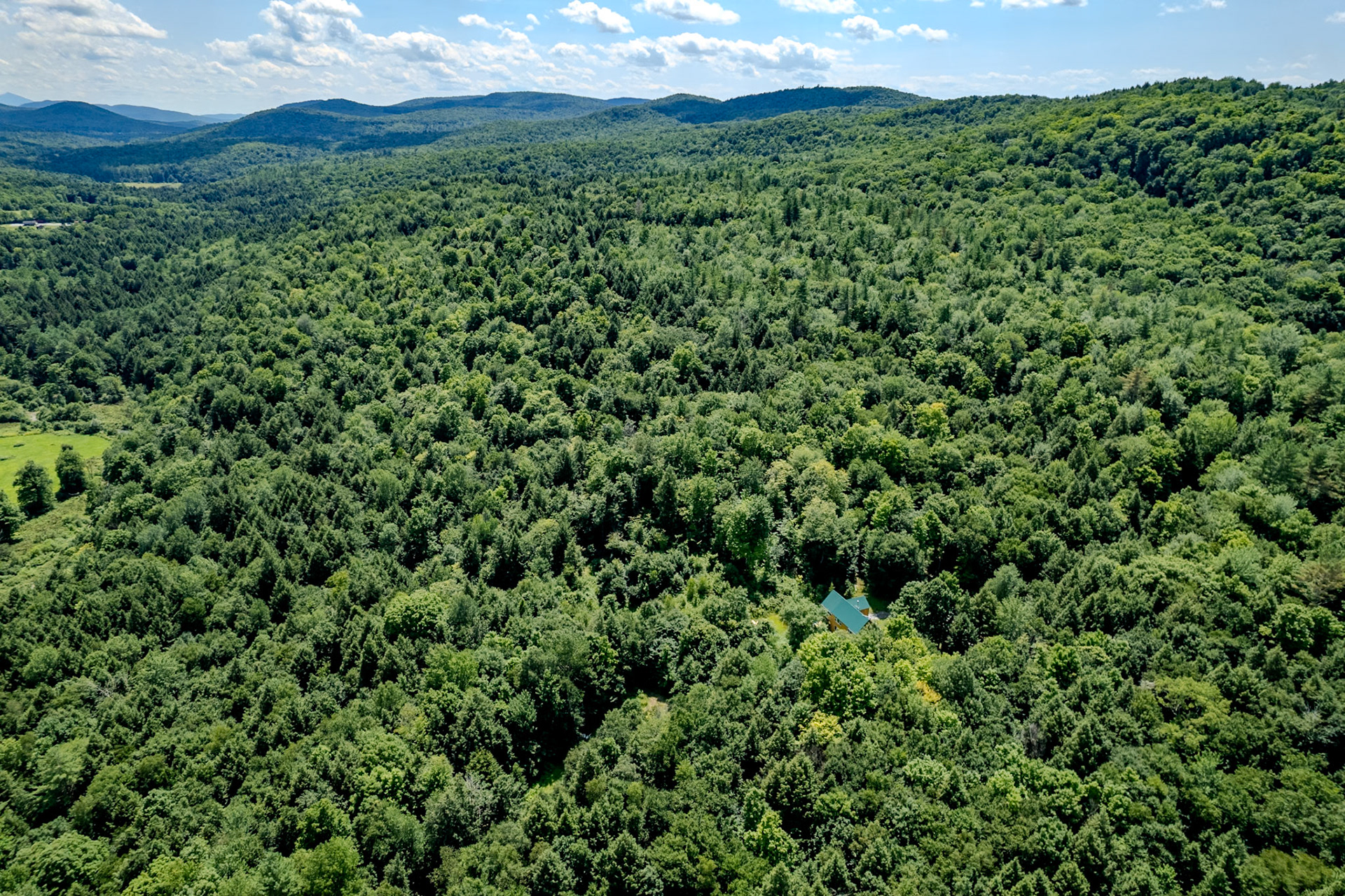 ©Steven Mermelstein. All rights reserved.