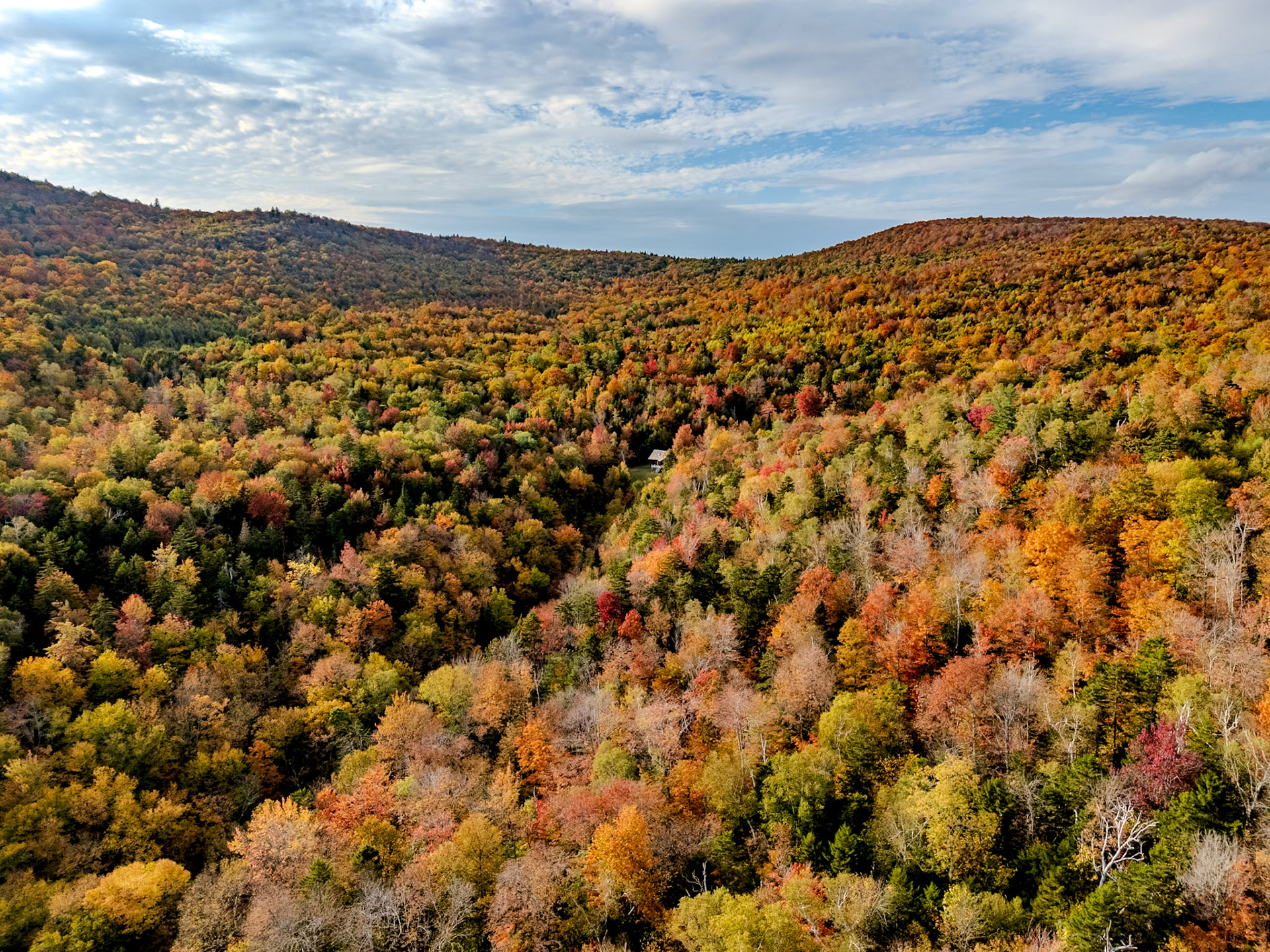 ©Steven Mermelstein. All rights reserved.