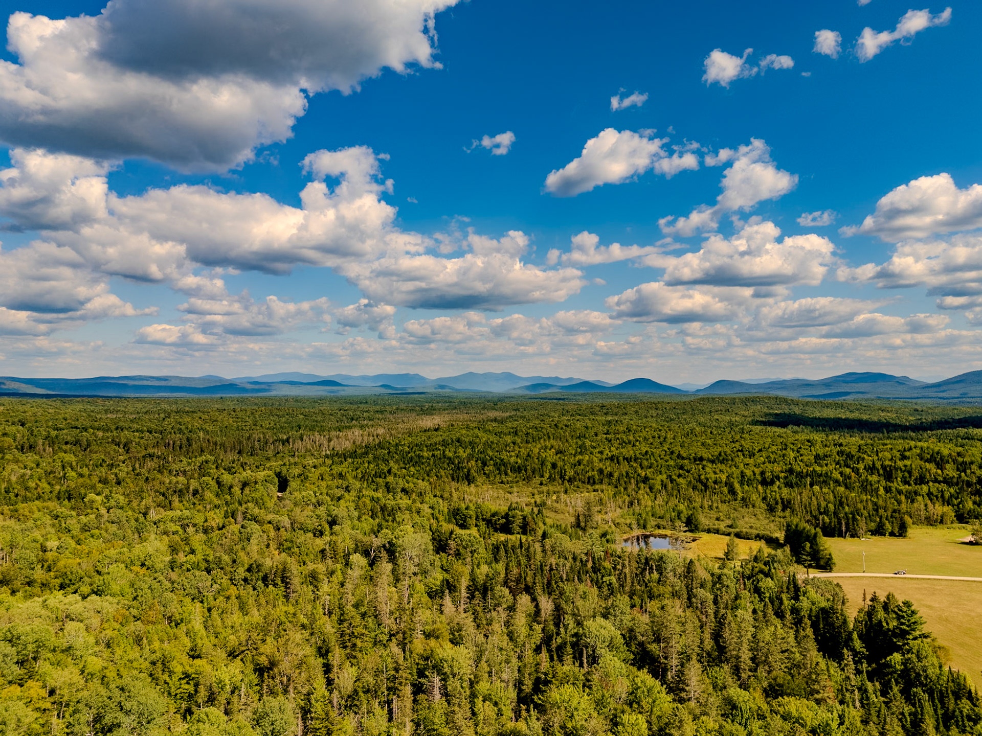 ©Steven Mermelstein. All rights reserved.