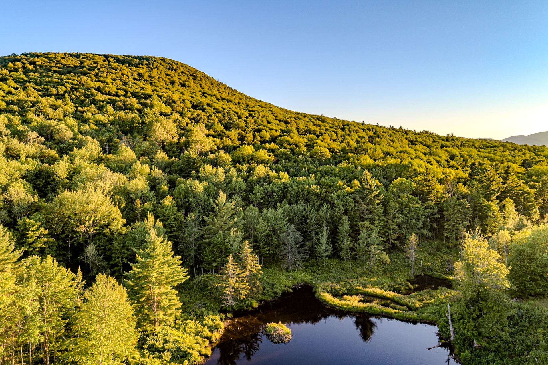 ©Steven Mermelstein. All rights reserved.