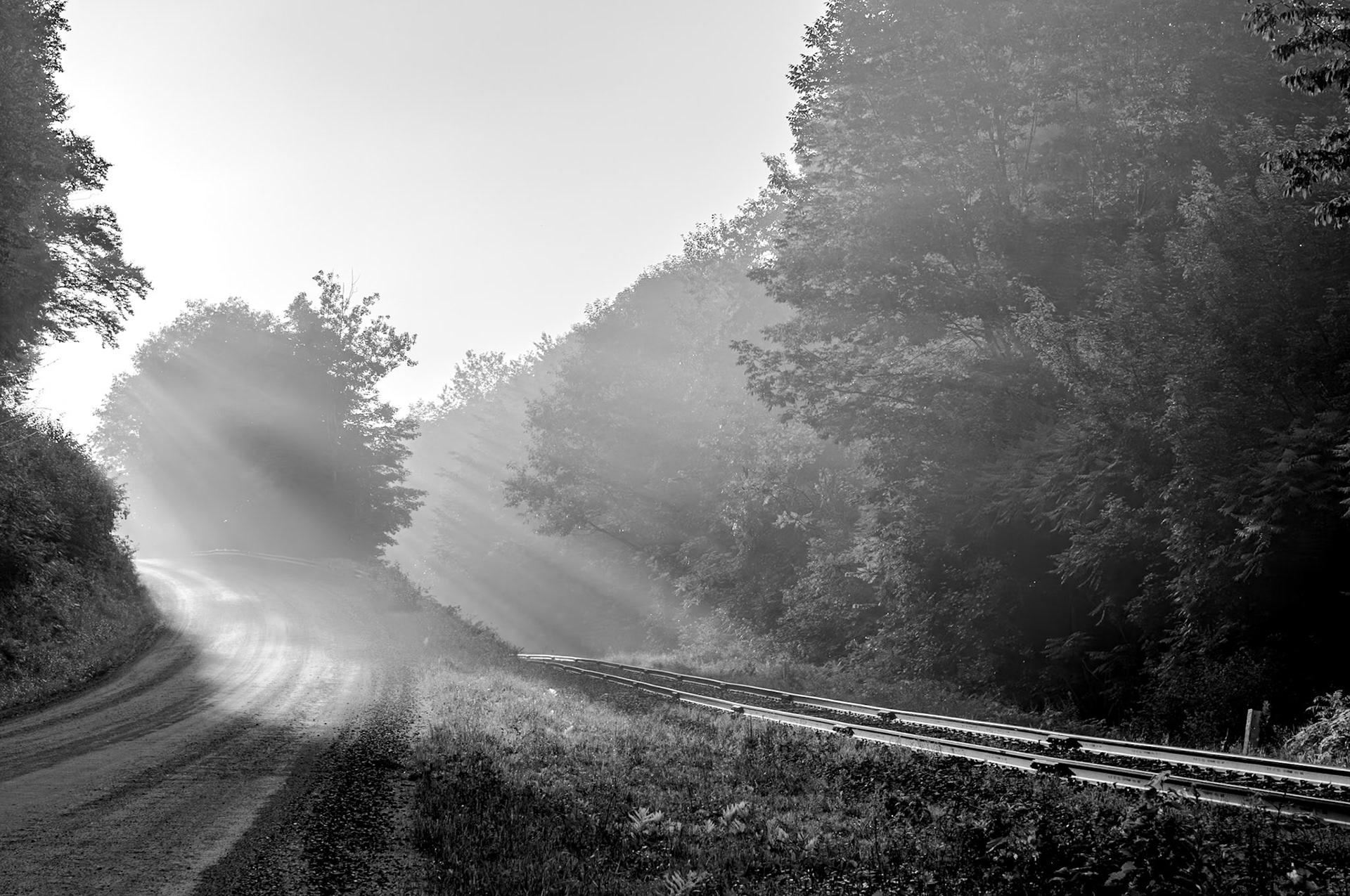 87 mm f/8.0 at 1/250 sec 0 EV 200 ISO. ©Steven Mermelstein. All rights reserved. #20080719194044