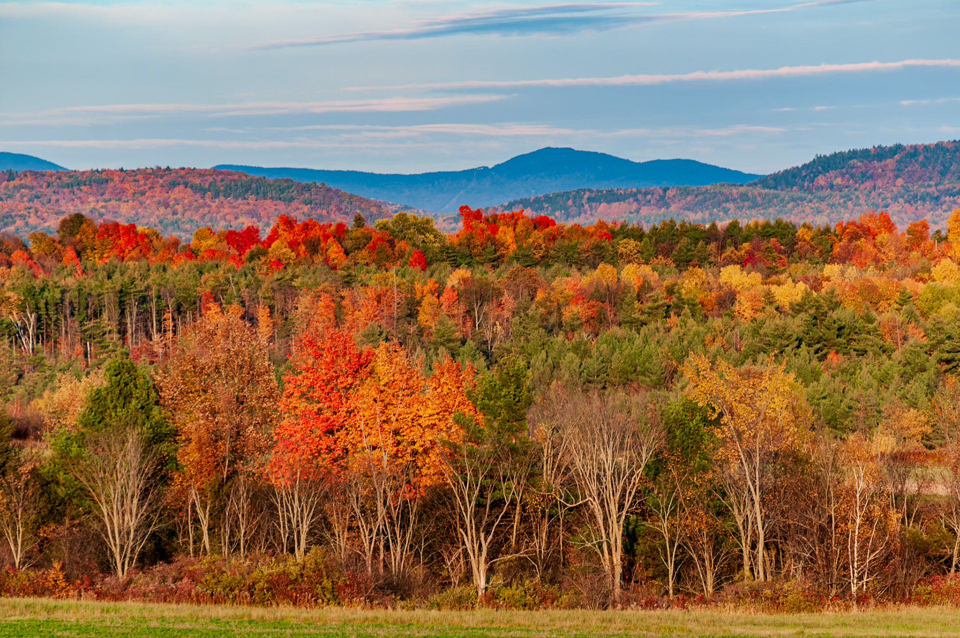300 mm f/5.6 at 1/180 sec 0 EV 200 ISO ©Steven Mermelstein. All rights reserved. #20081015174444