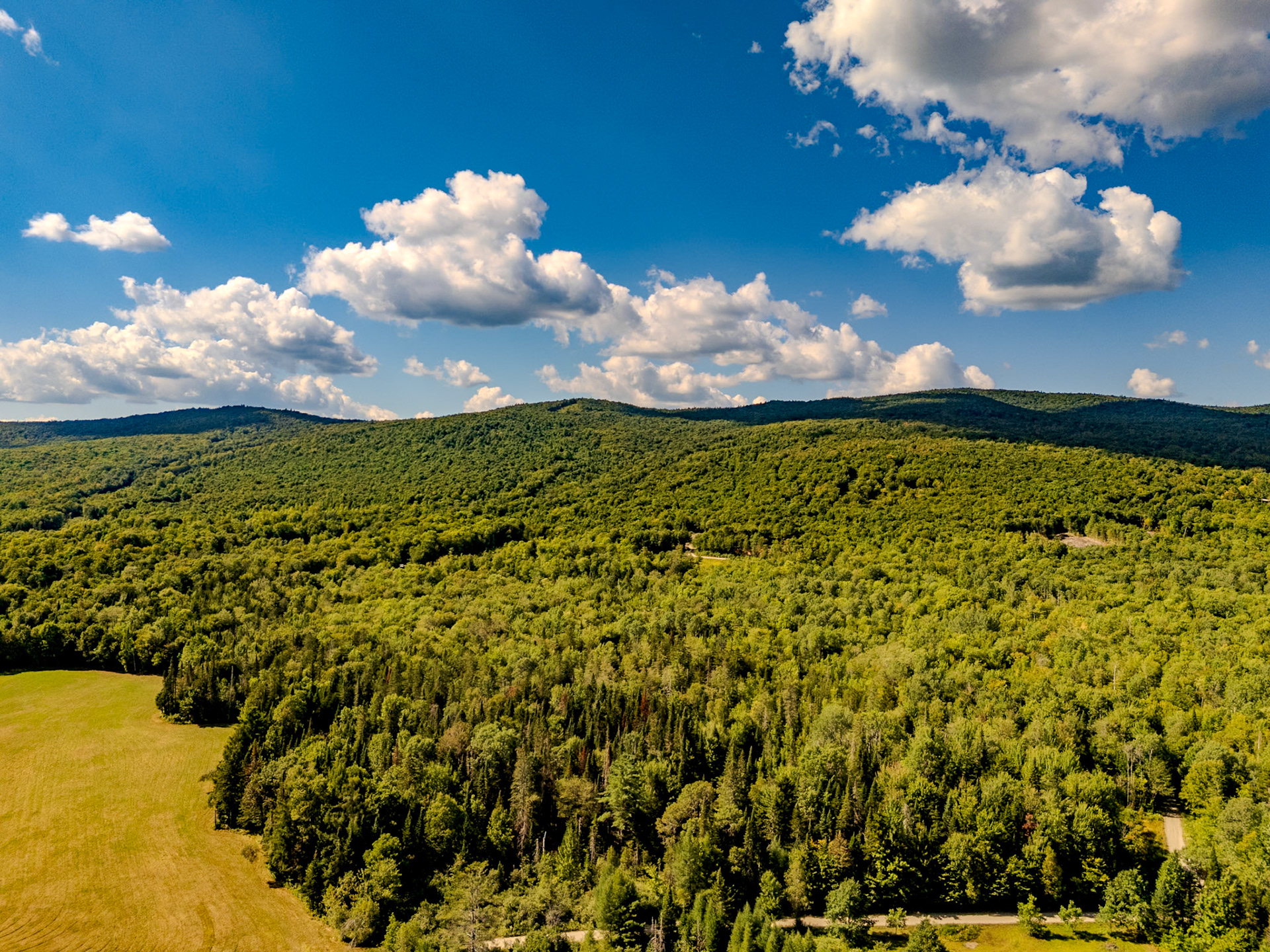 ©Steven Mermelstein. All rights reserved.