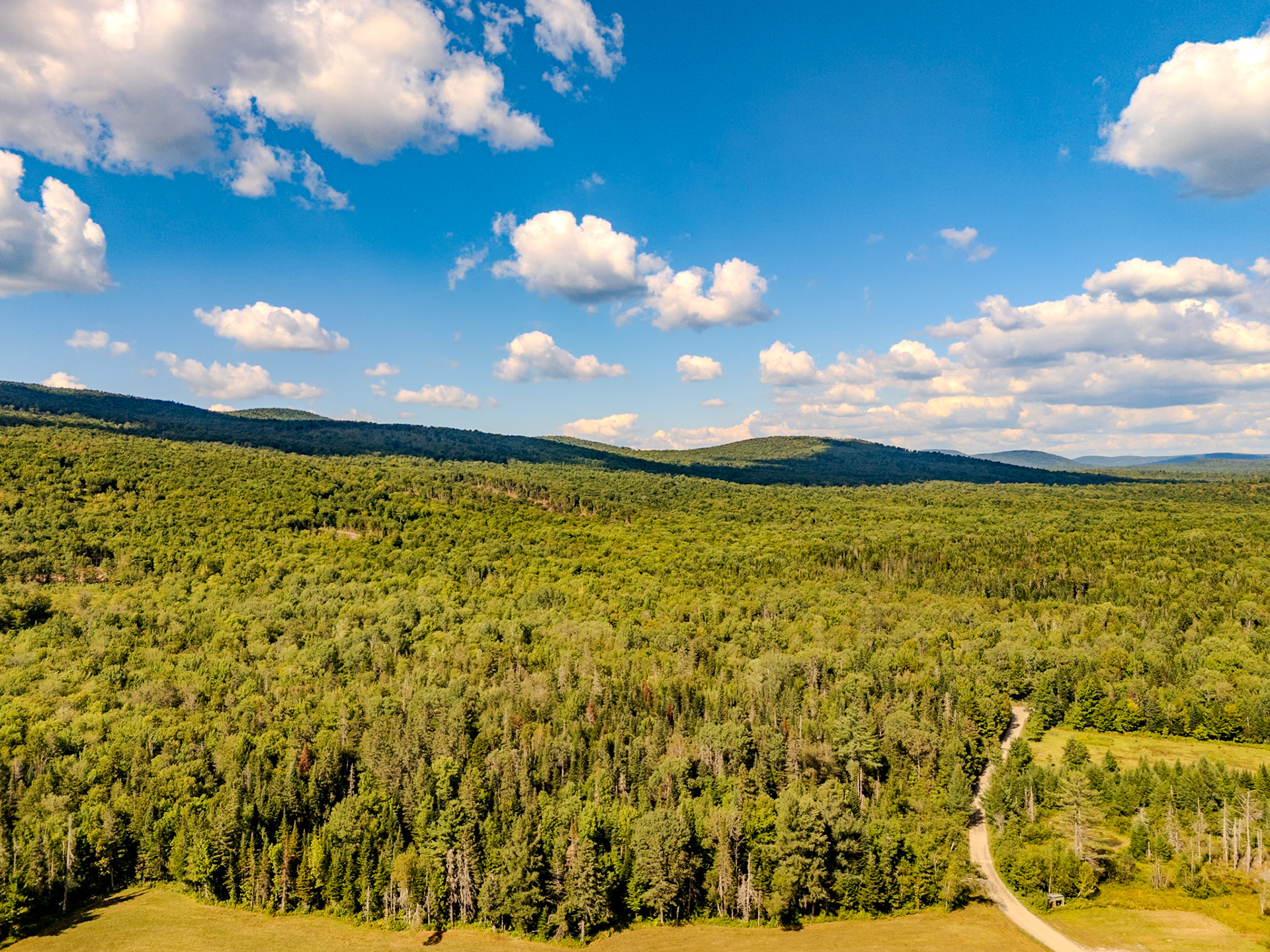 ©Steven Mermelstein. All rights reserved.