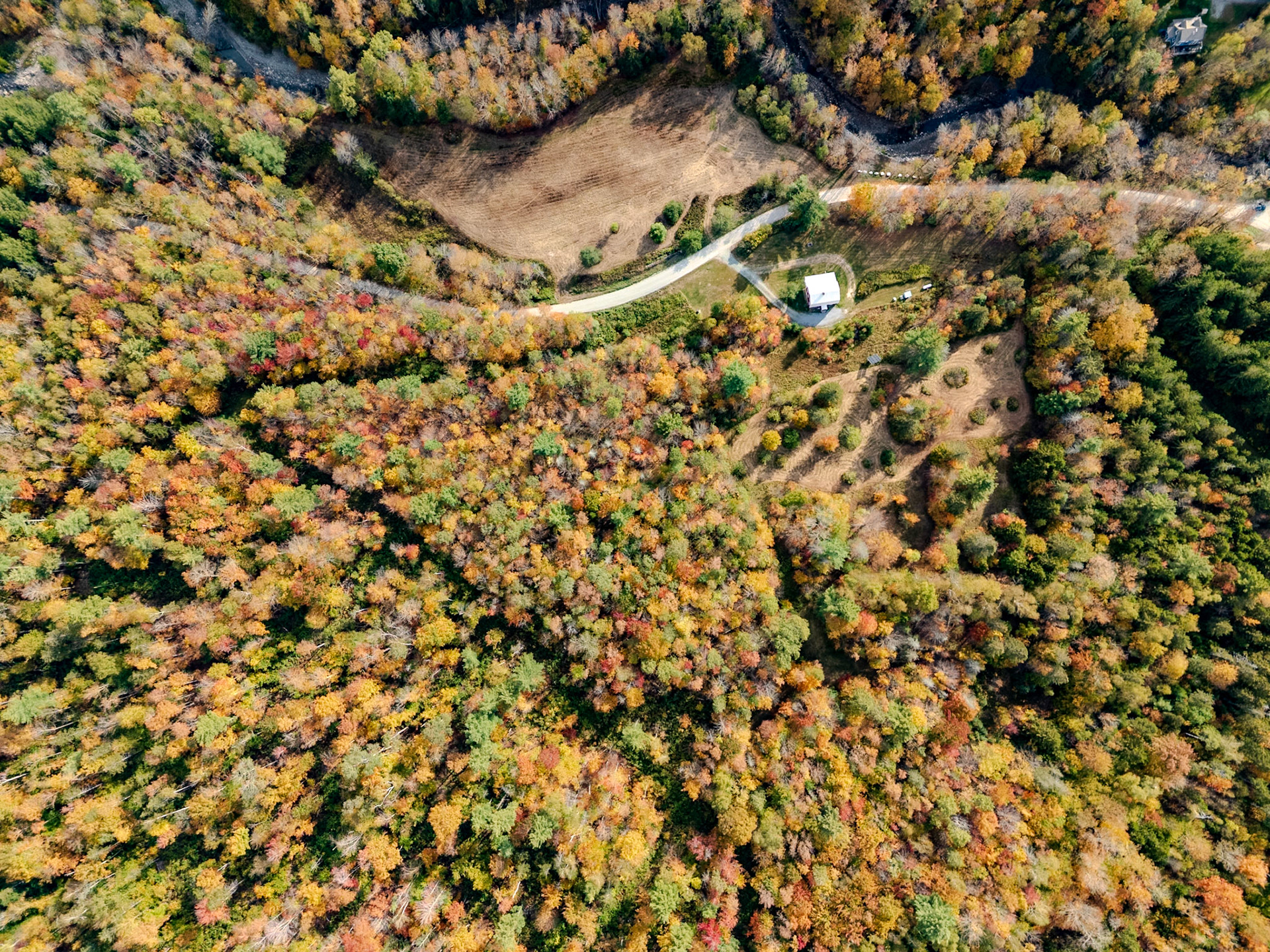 ©Steven Mermelstein. All rights reserved.