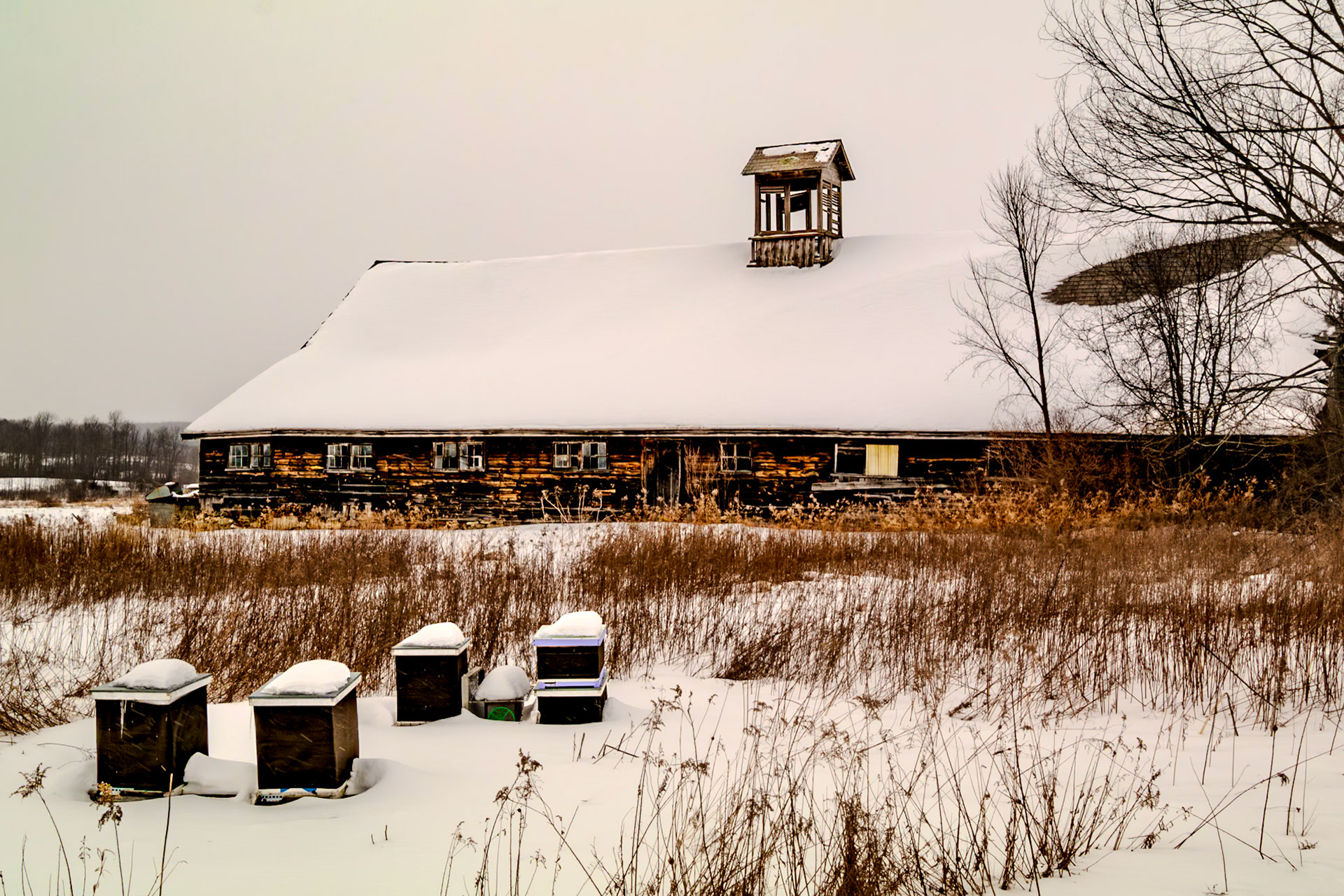 36 mm f/20 at 1/100 sec 0 EV 100 ISO ©Steven Mermelstein. All rights reserved. #20140218235015