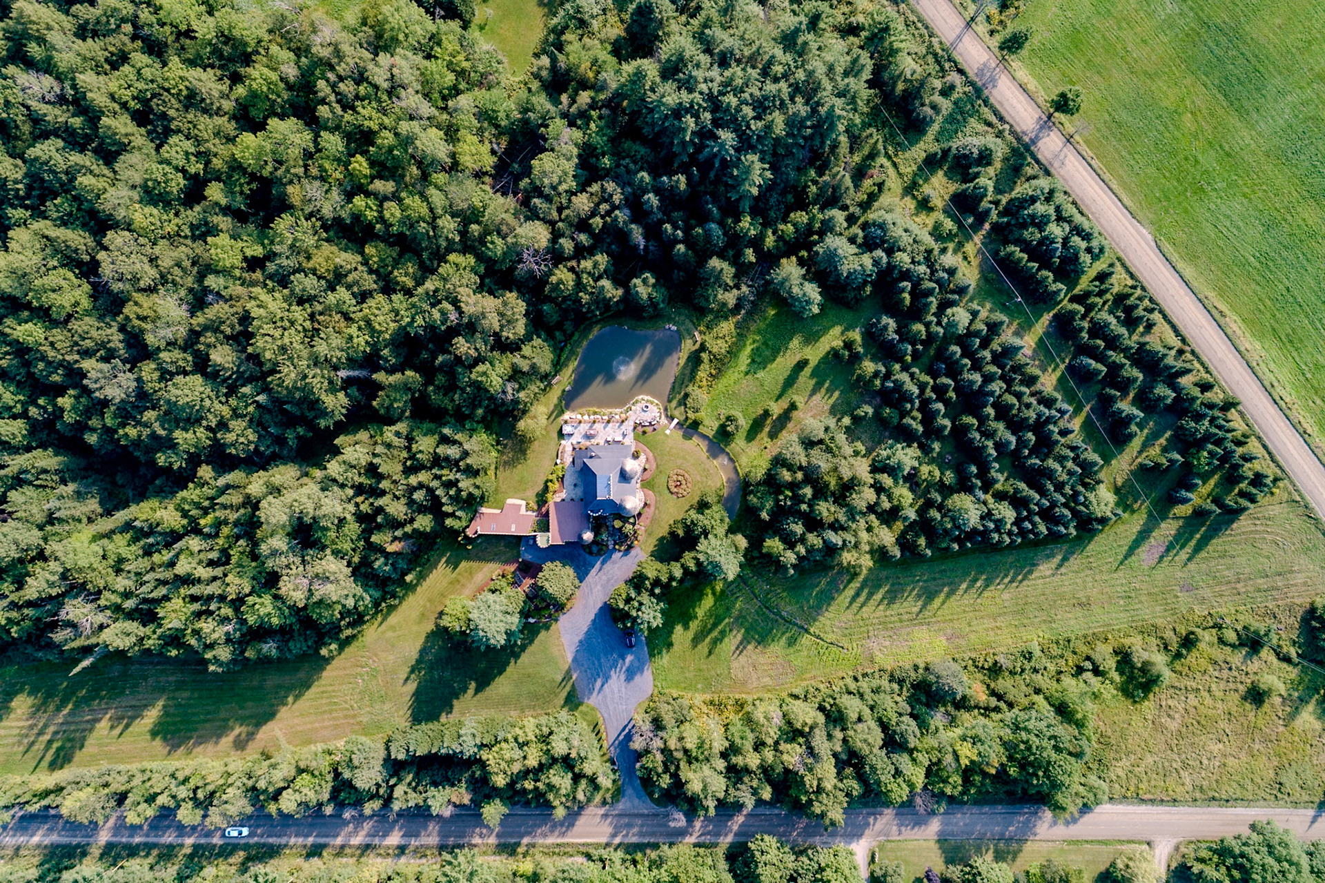 ©Steven Mermelstein. All rights reserved.