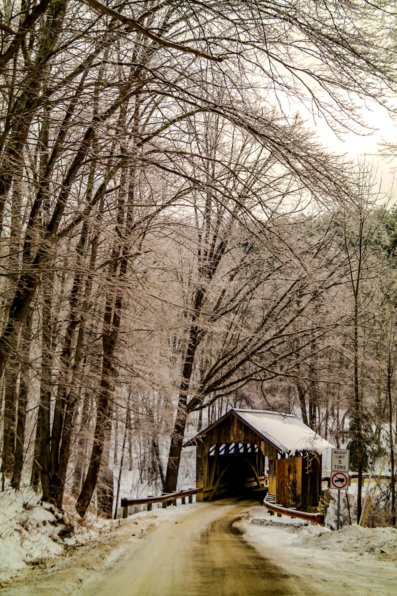 61 mm f/5.0 at 1/160 sec 0 EV 200 ISO ©Steven Mermelstein. All rights reserved. #20131224143223
