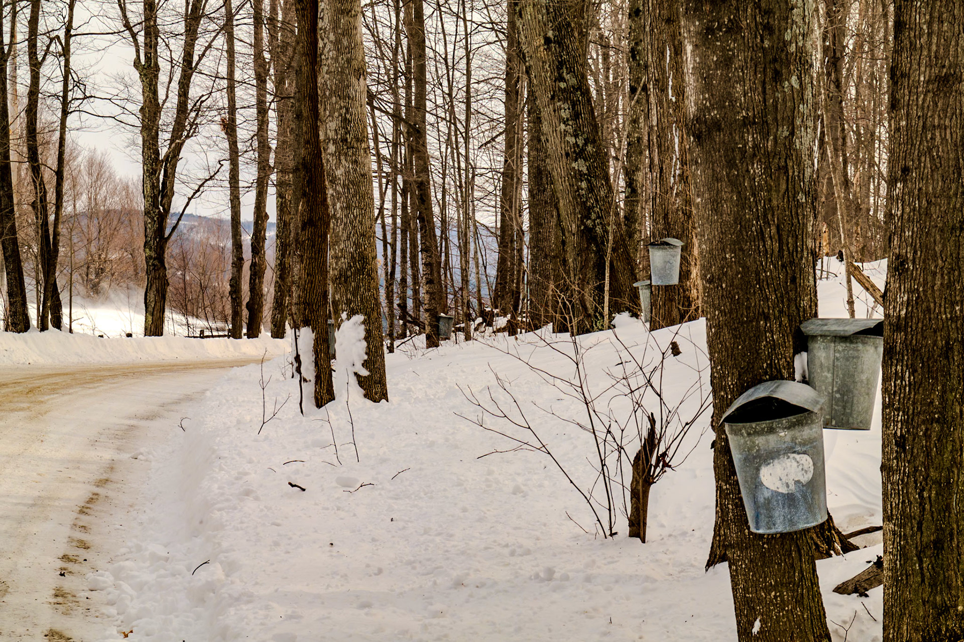 84 mm f/13 at 1/125 sec 0 EV 100 ISO ©Steven Mermelstein. All rights reserved. #20140314160038