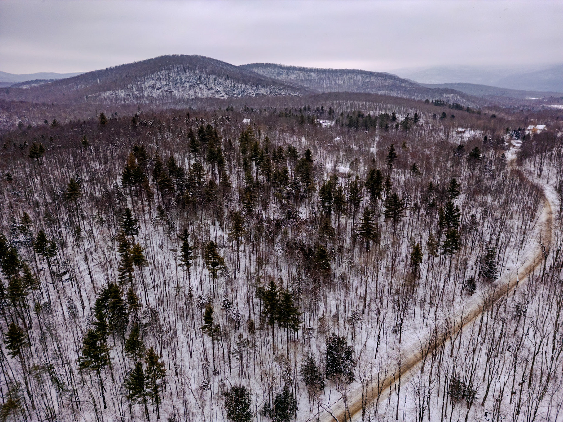 ©Steven Mermelstein. All rights reserved.