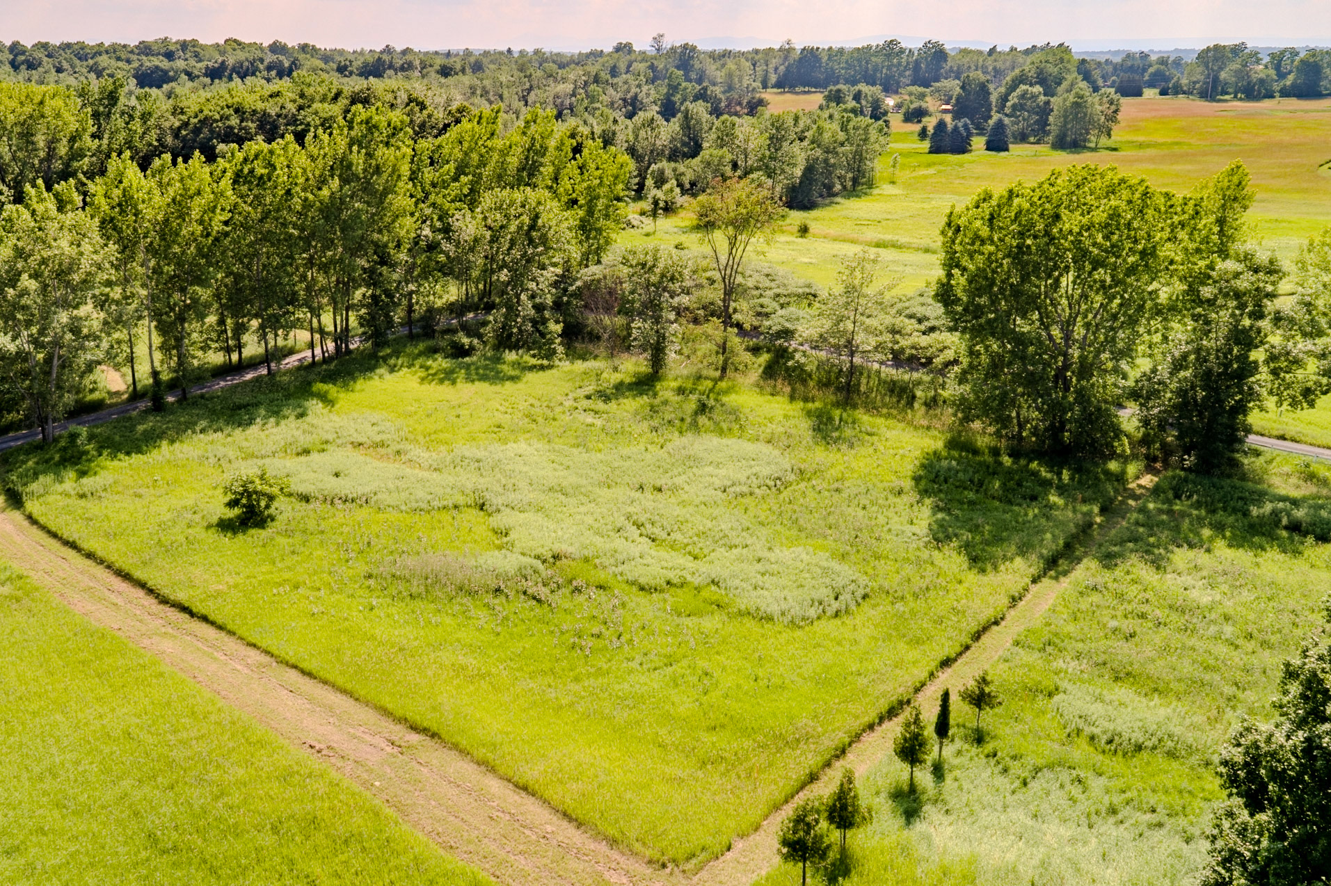 ©Steven Mermelstein. All rights reserved.