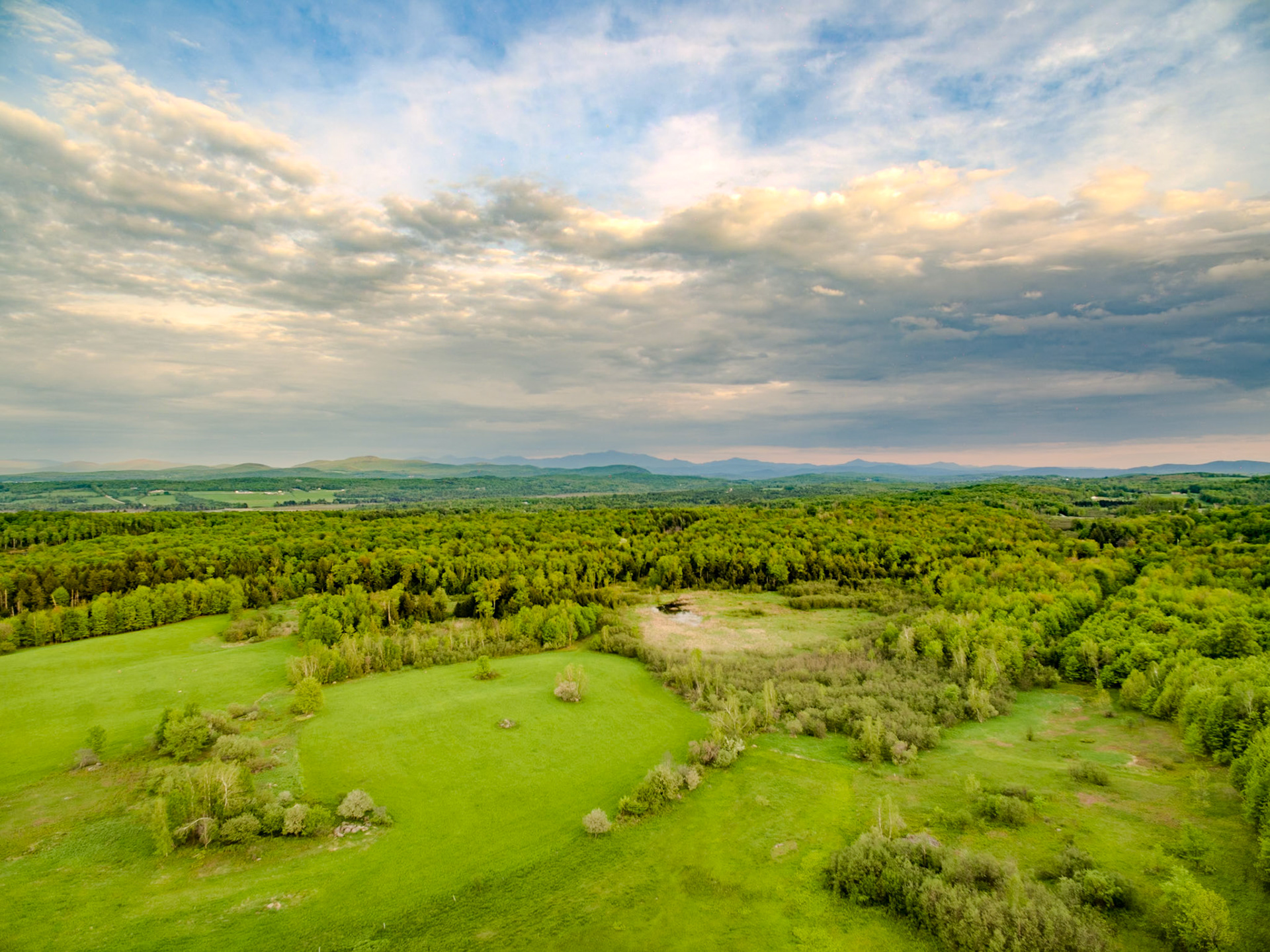 ©Steven Mermelstein. All rights reserved.