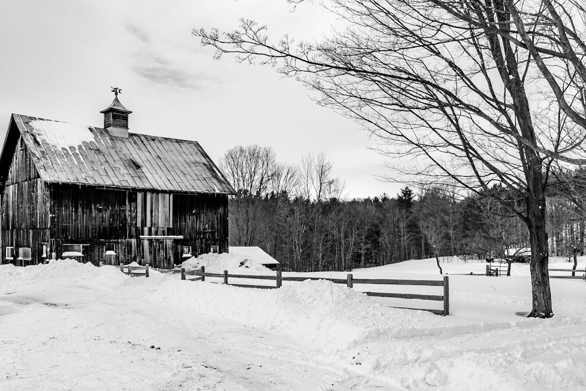 27 mm f/16 at 1/160 sec 0 EV 100 ISO ©Steven Mermelstein. All rights reserved. #20140314134440