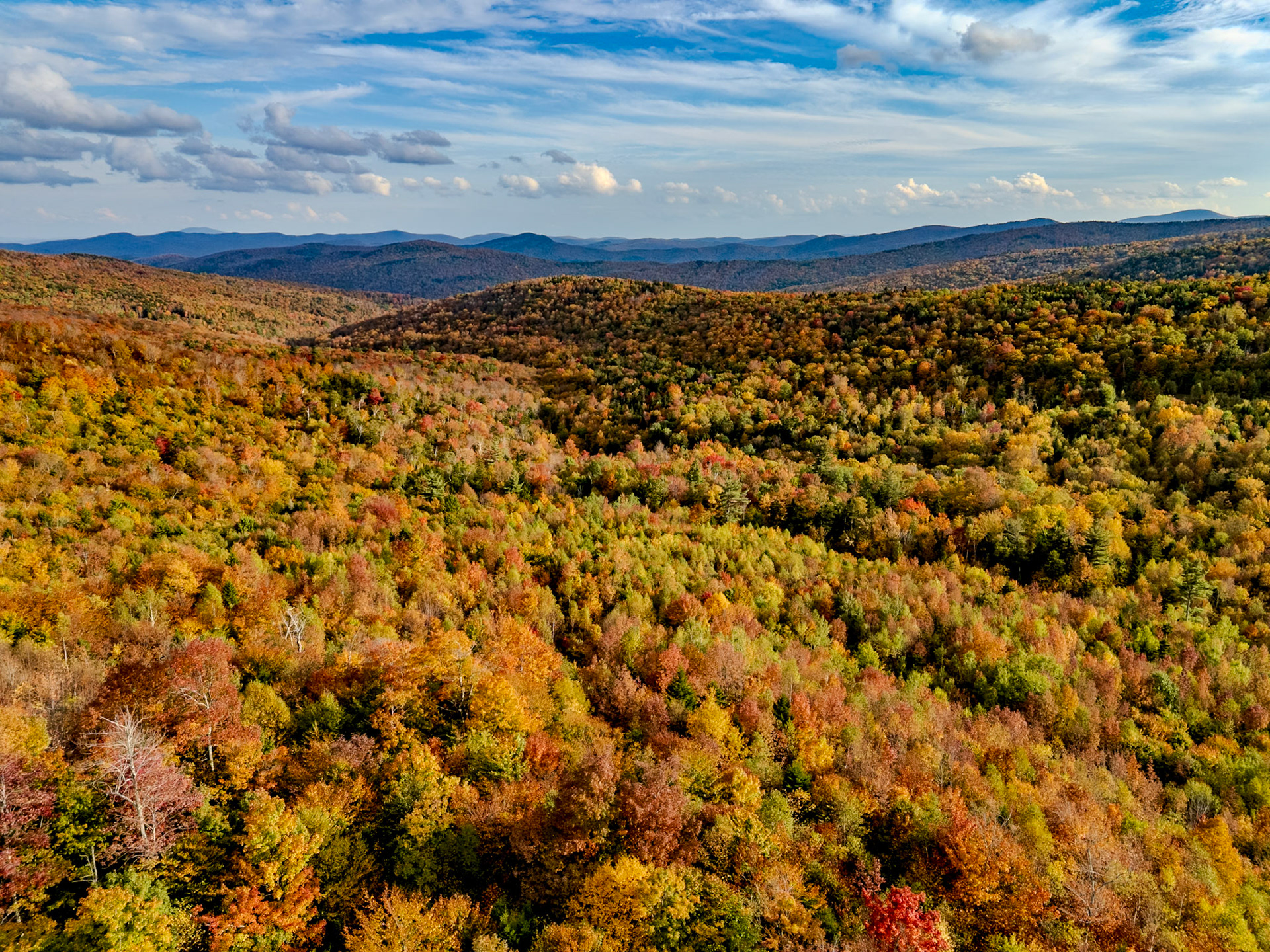 ©Steven Mermelstein. All rights reserved.