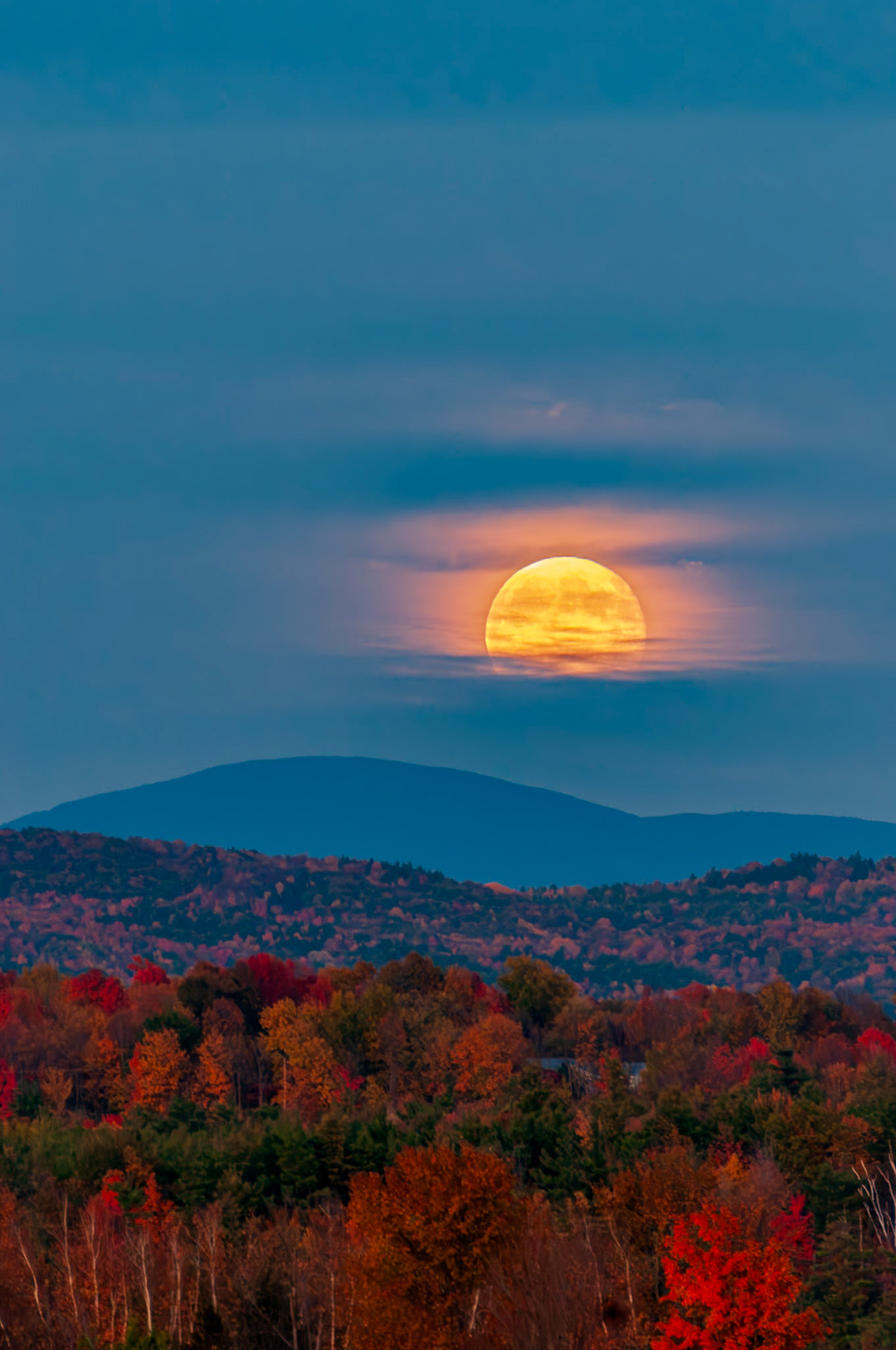 450 mm f/5.6 at 1/10 sec 0 EV 800 ISO ©Steven Mermelstein. All rights reserved. #20081015182809