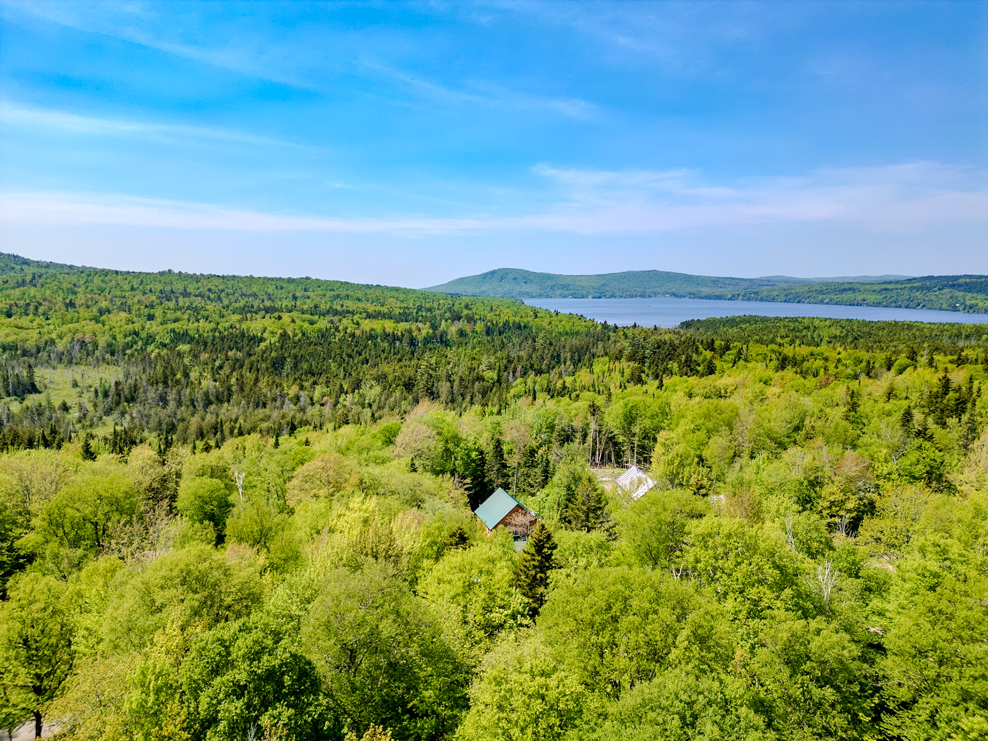 ©Steven Mermelstein. All rights reserved.