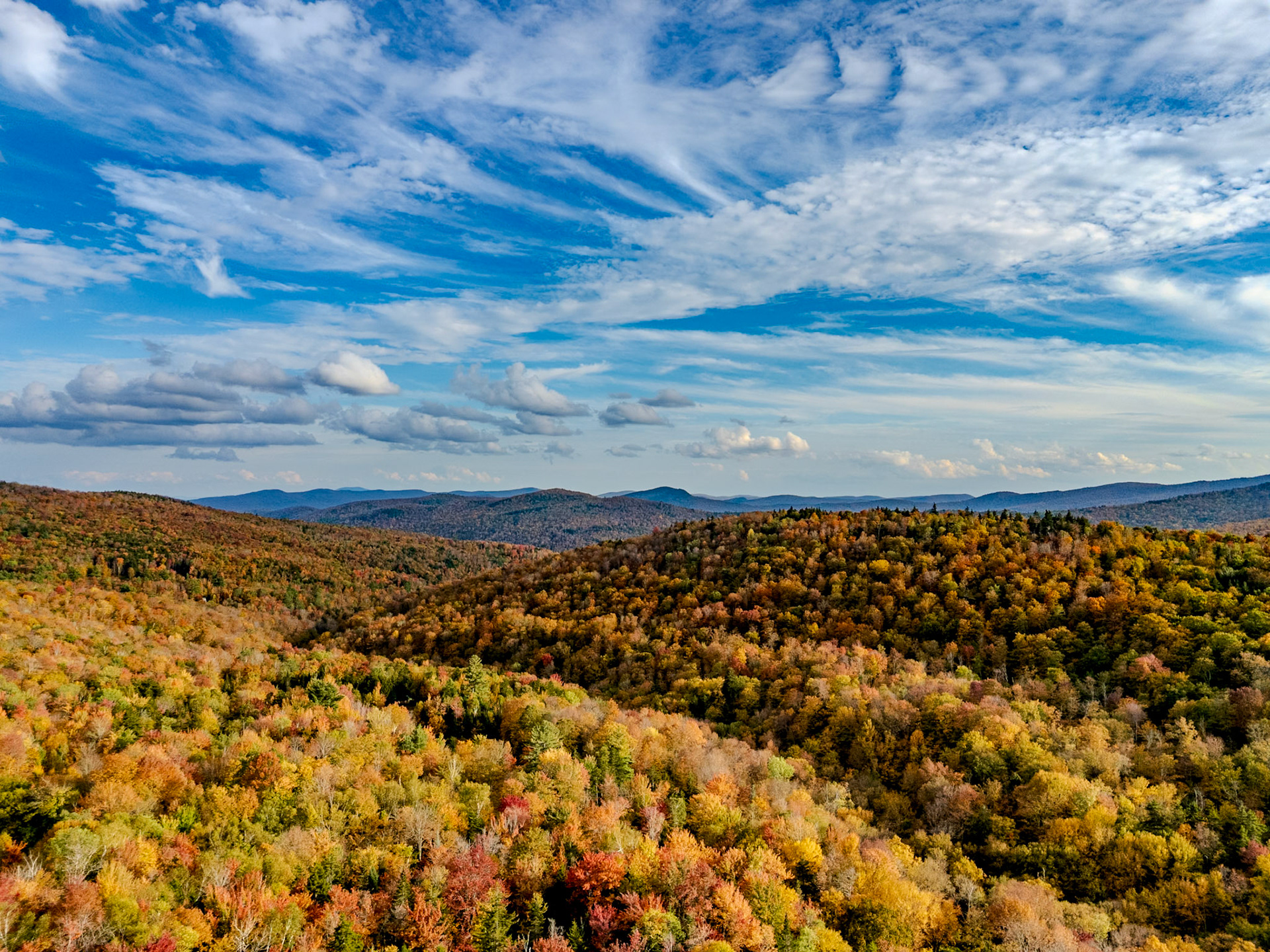 ©Steven Mermelstein. All rights reserved.