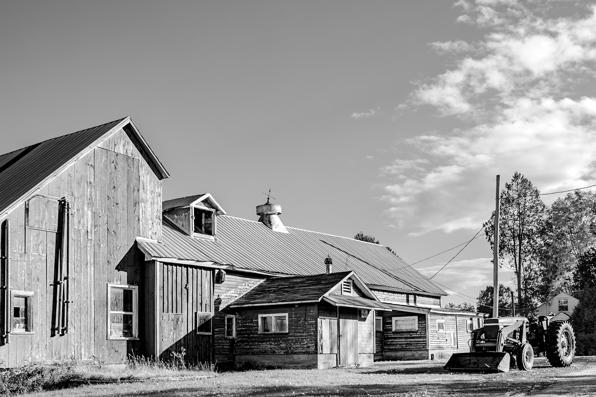 43 mm f/5.6 at 1/640 sec -0.3 EV 100 ISO ©Steven Mermelstein. All rights reserved. #20151015155929